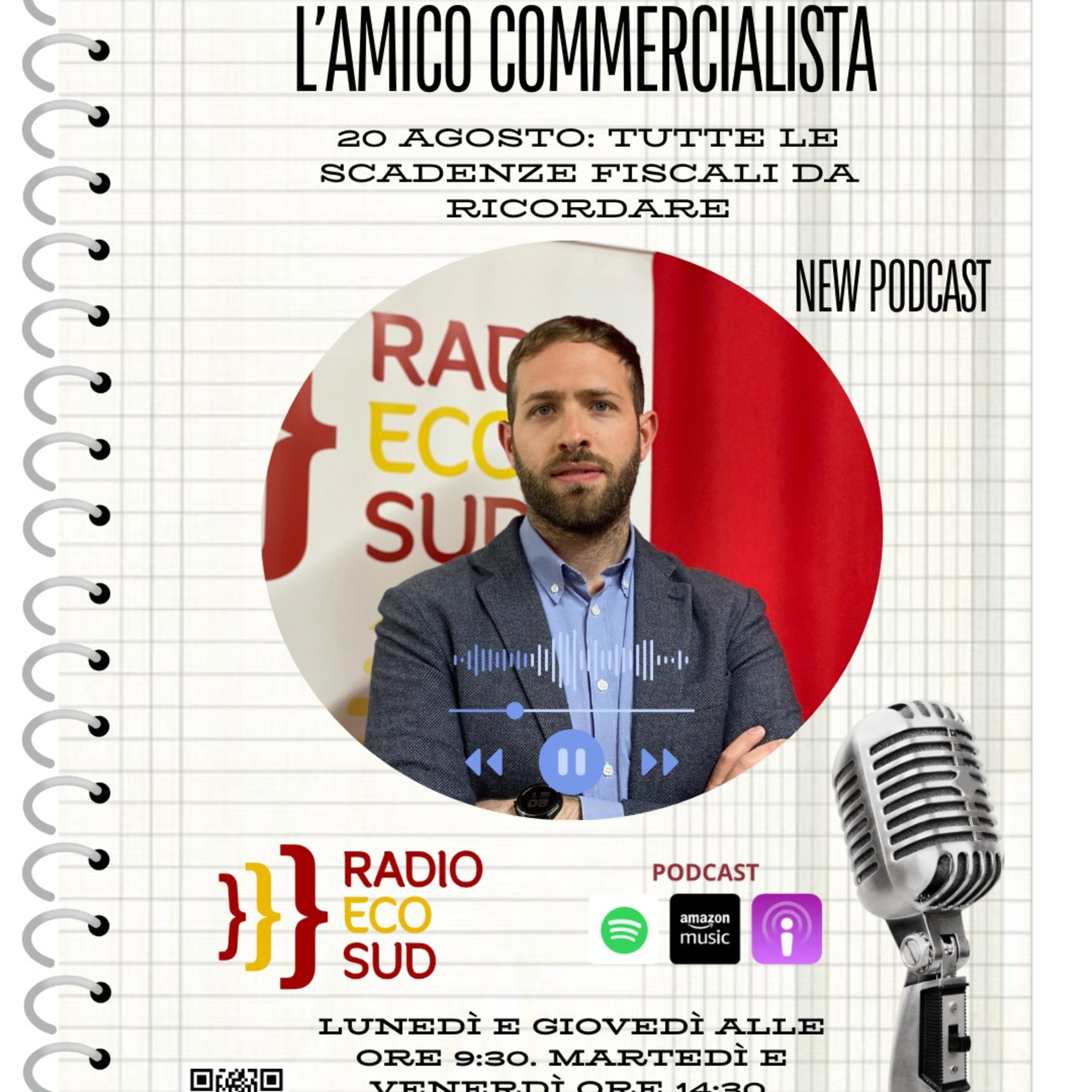 L'amico commercialista 13 puntata episode artwork