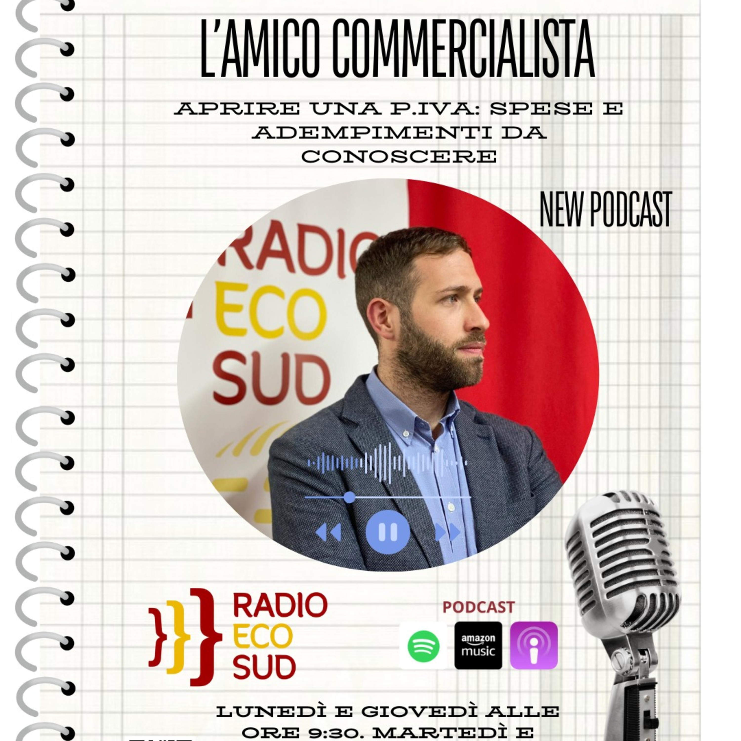 L'amico commercialista 14 puntata episode artwork