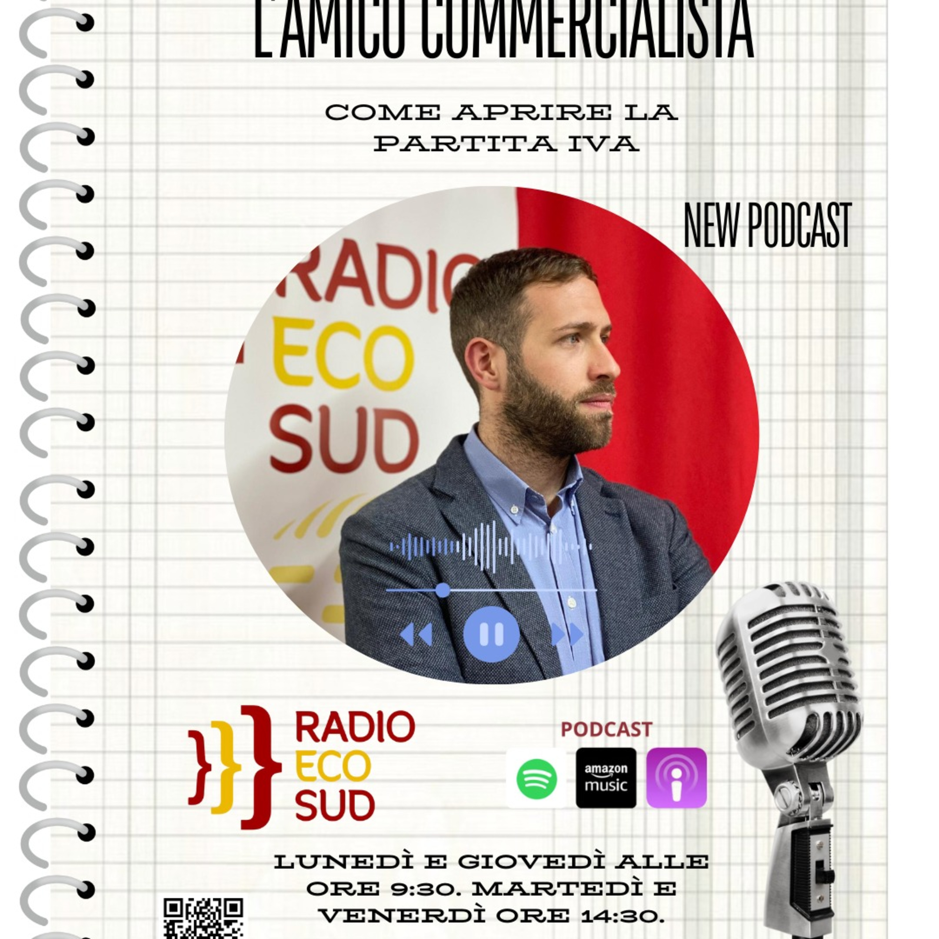 L'amico commercialista 15 puntata