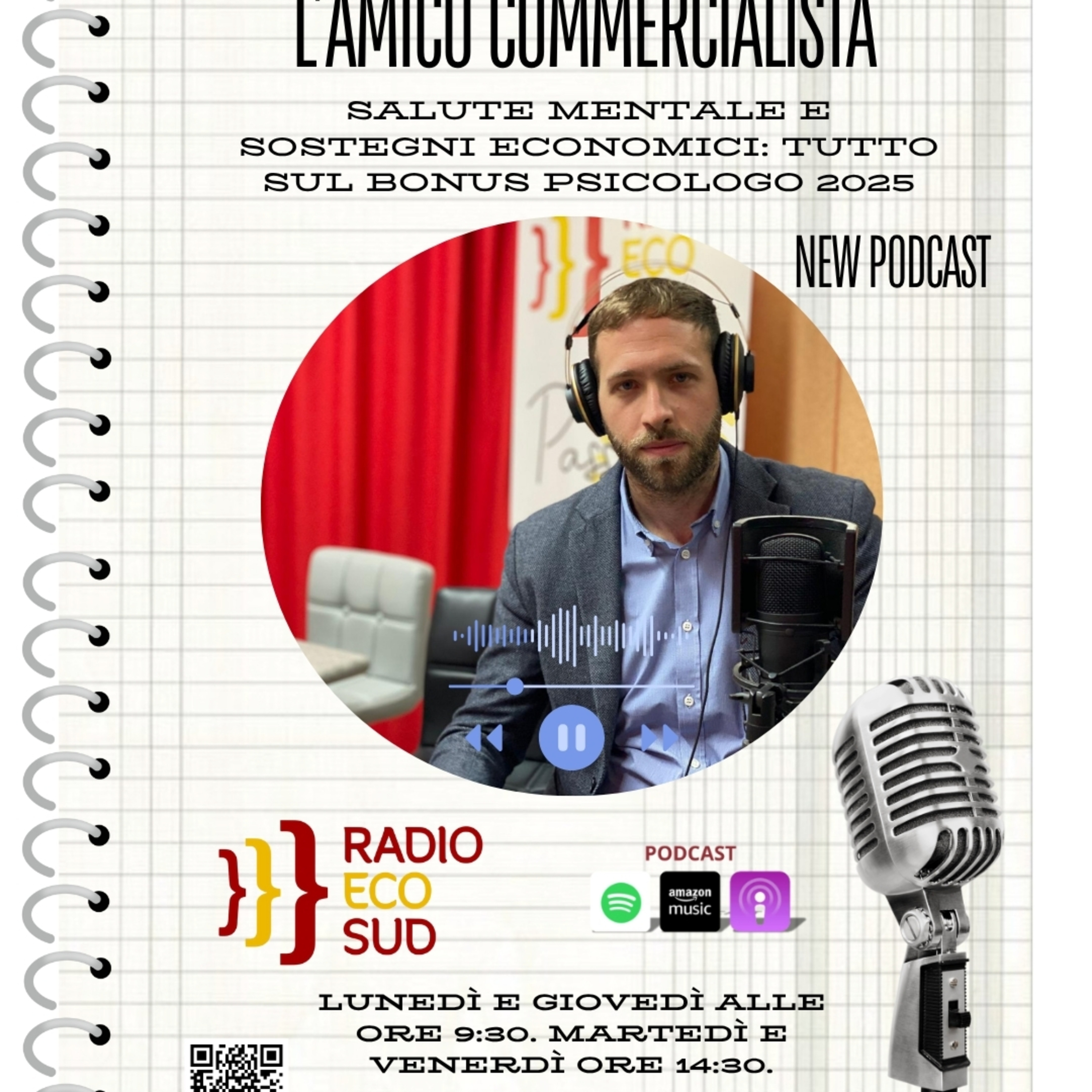 L'amico commercialista 20 puntata episode artwork