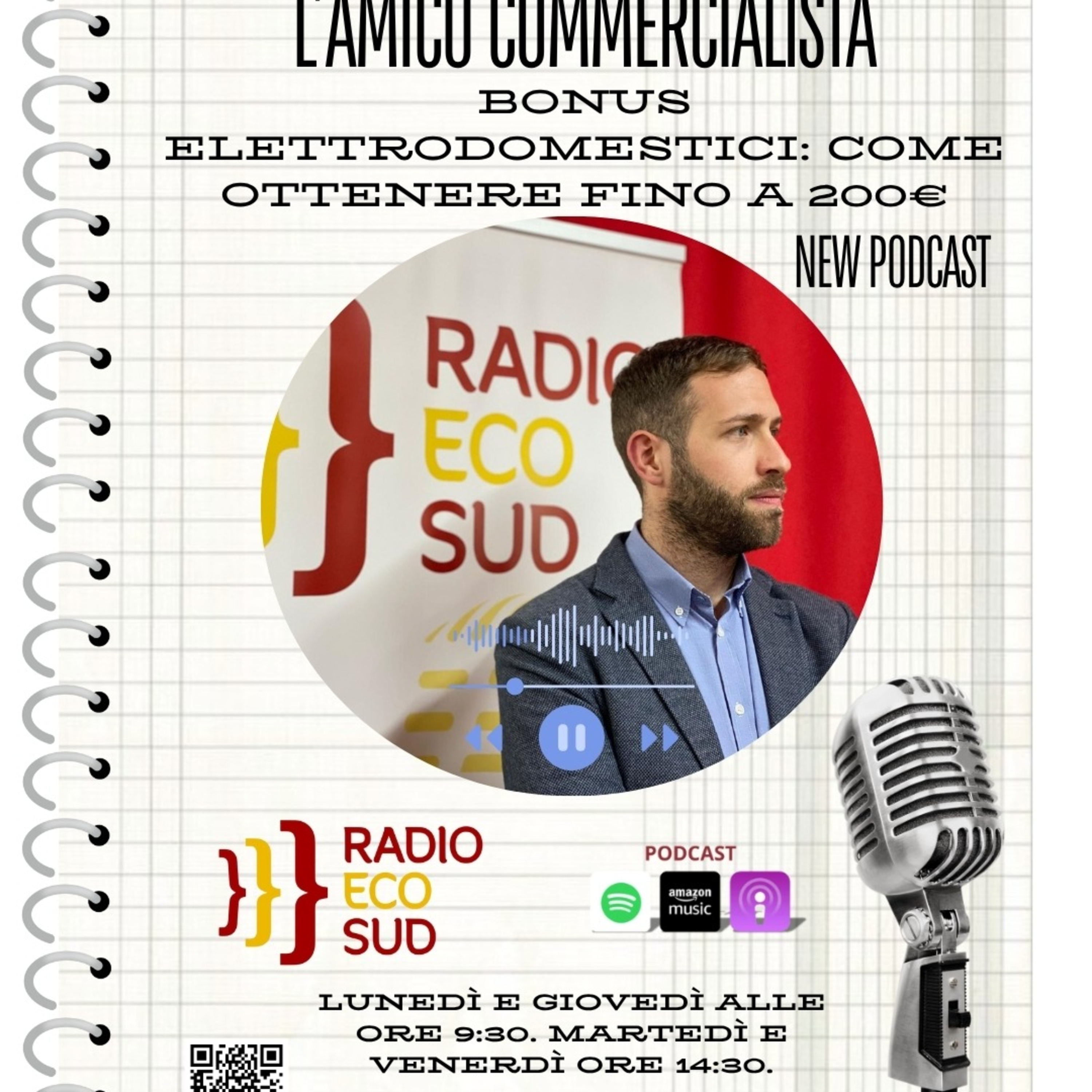 L'amico commercialista 25 puntata episode artwork