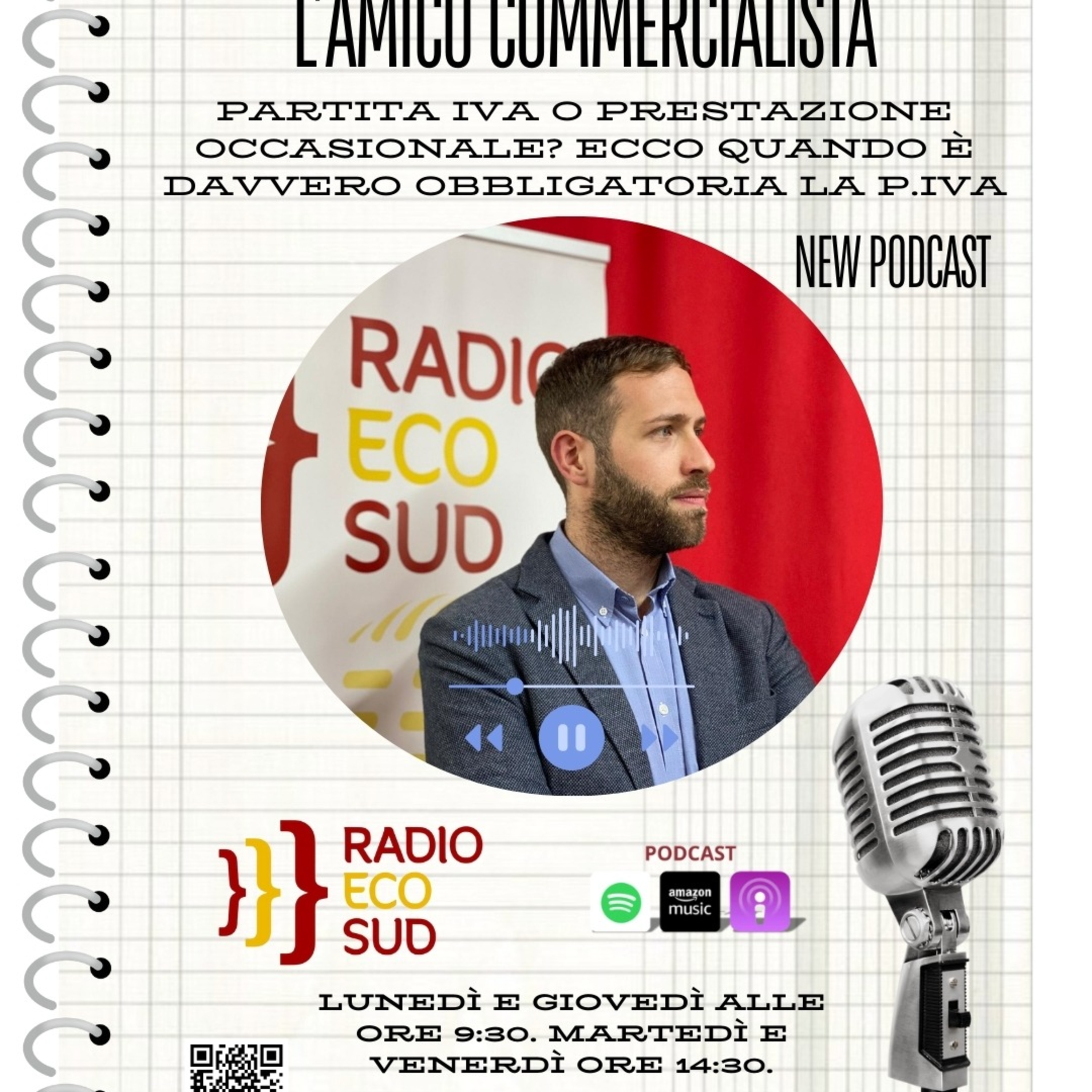 L'amico commercialista 27 puntata episode artwork