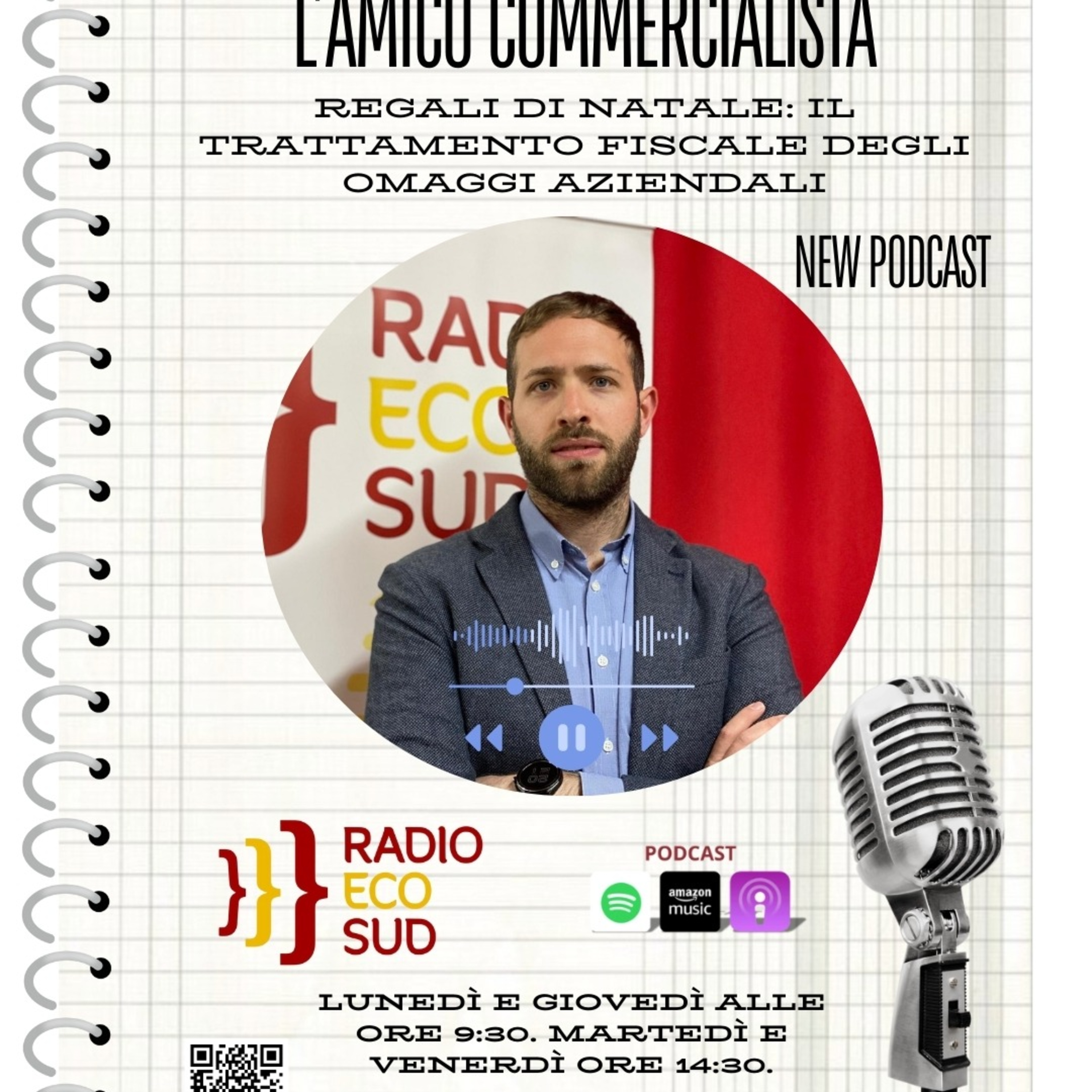 L'amico commercialista 29 puntata episode artwork