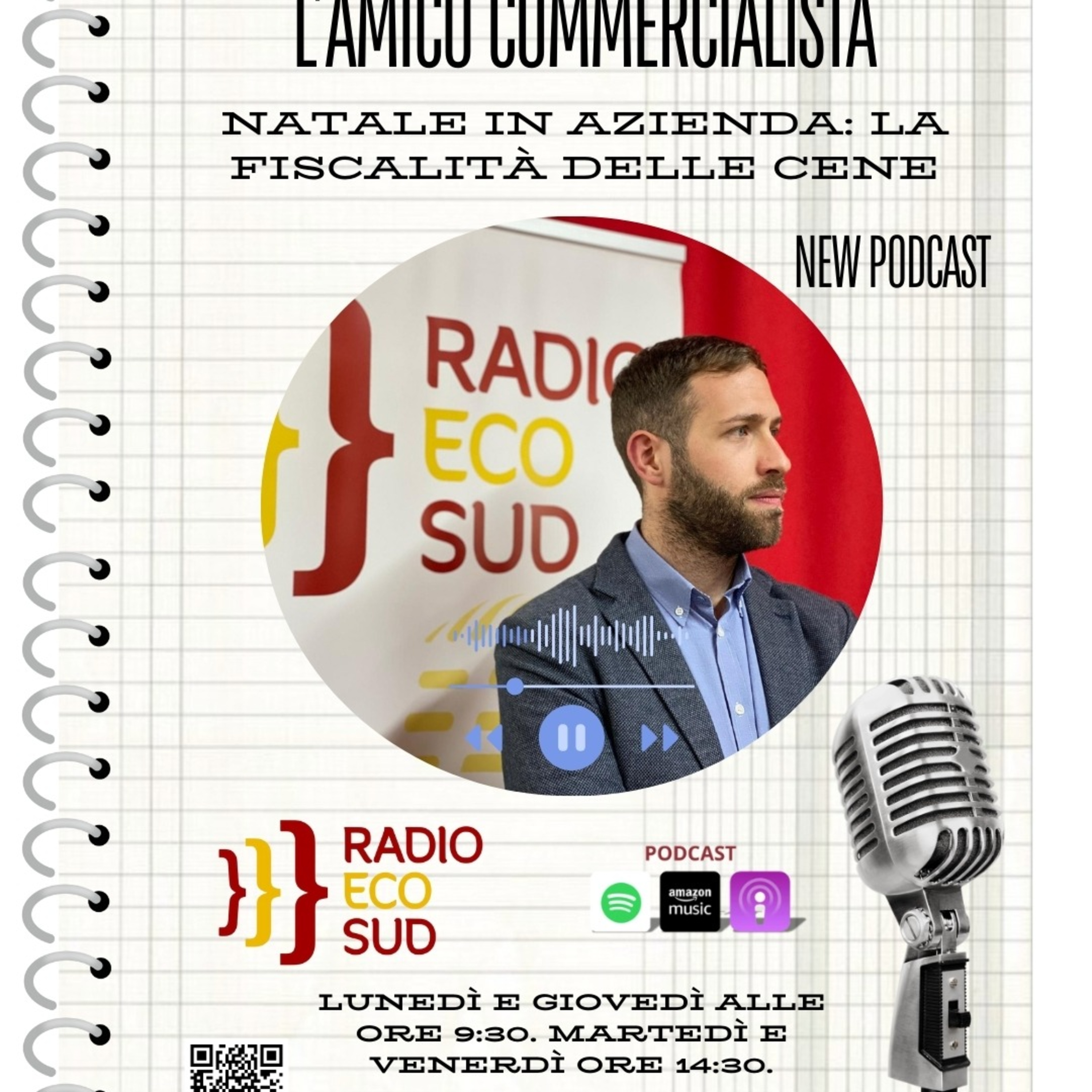 L'amico commercialista 30 puntata episode artwork