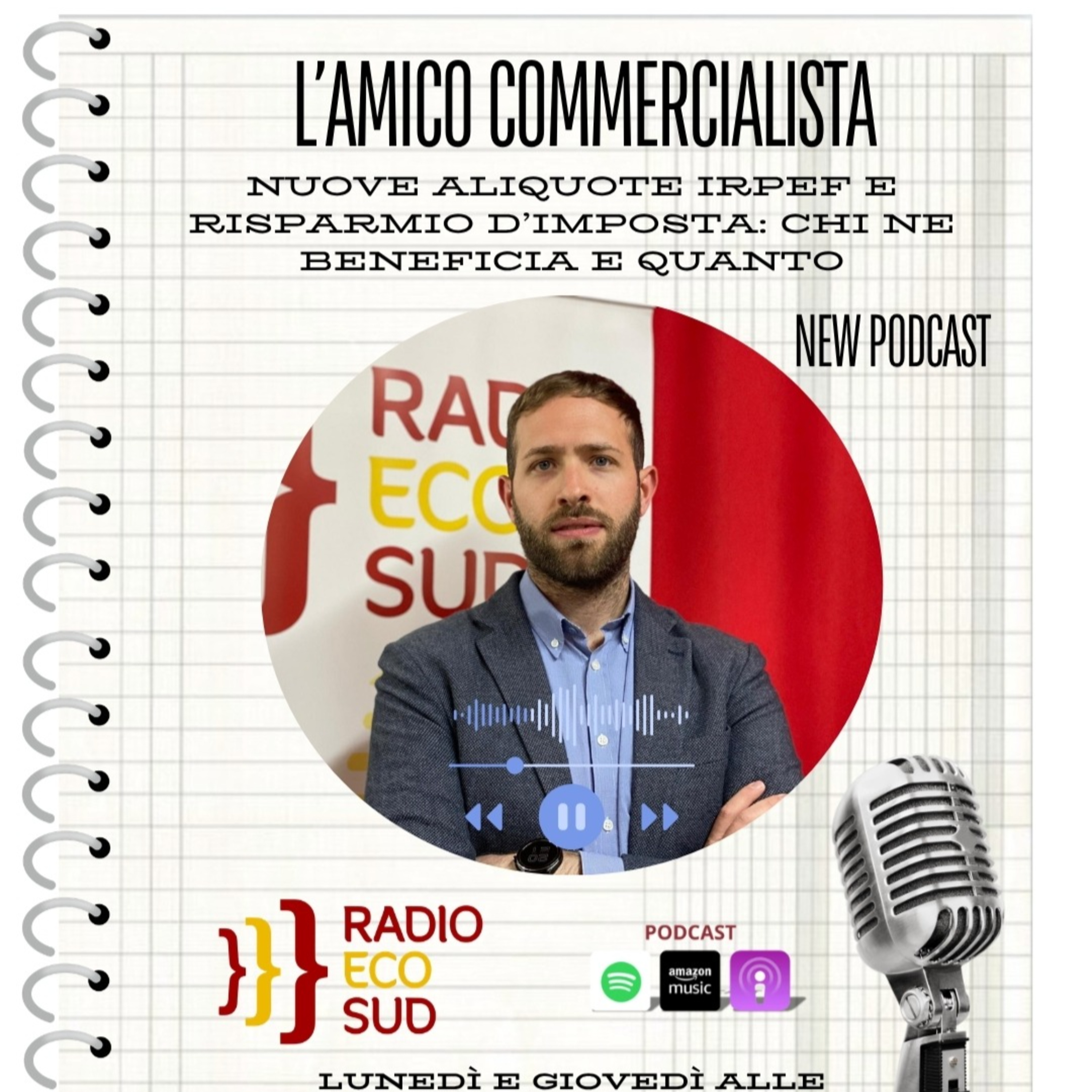 L'amico commercialista 43 puntata episode artwork
