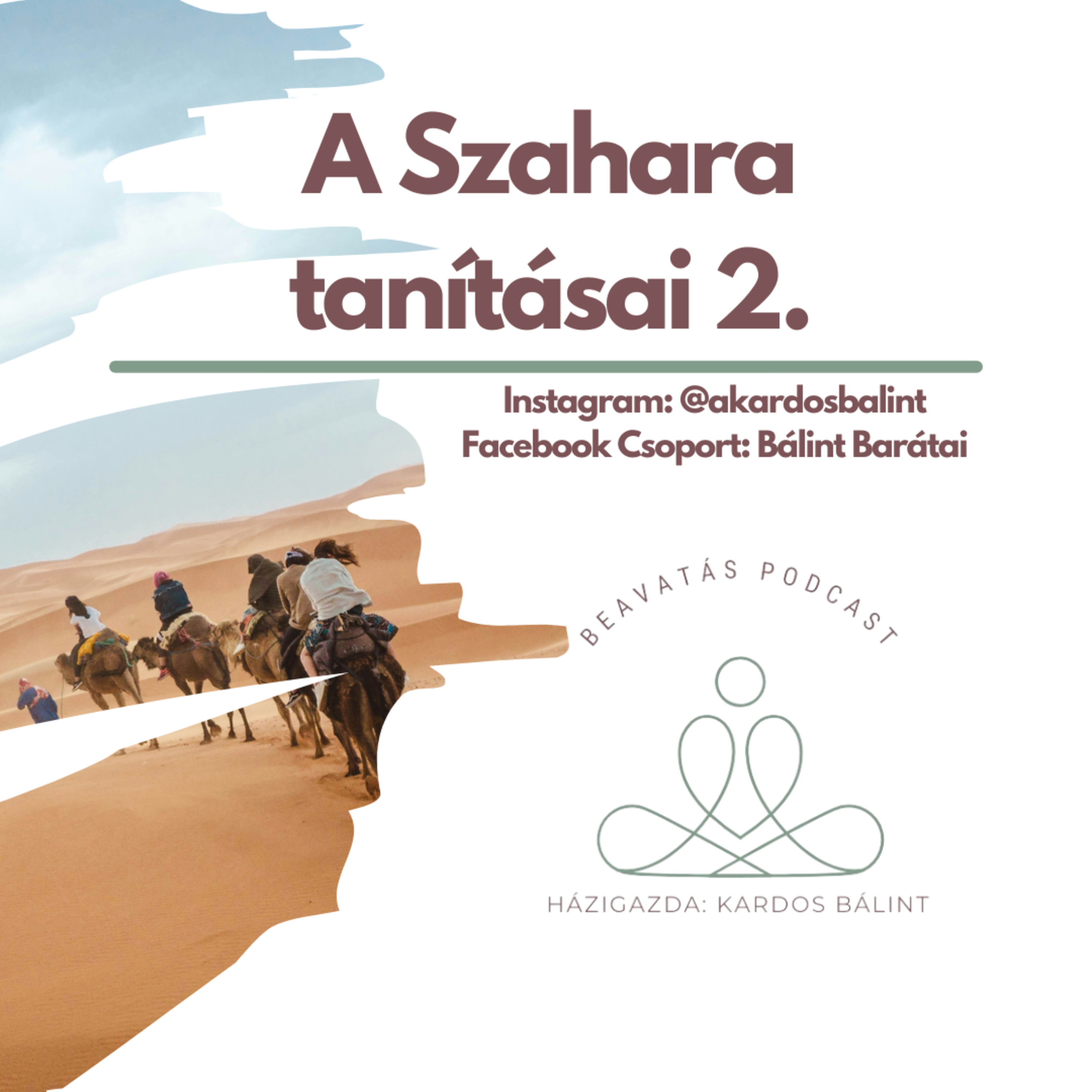 A Szahara tanításai 2 – Akaratomon kívül a nyílt sivatagban aludtam! episode artwork