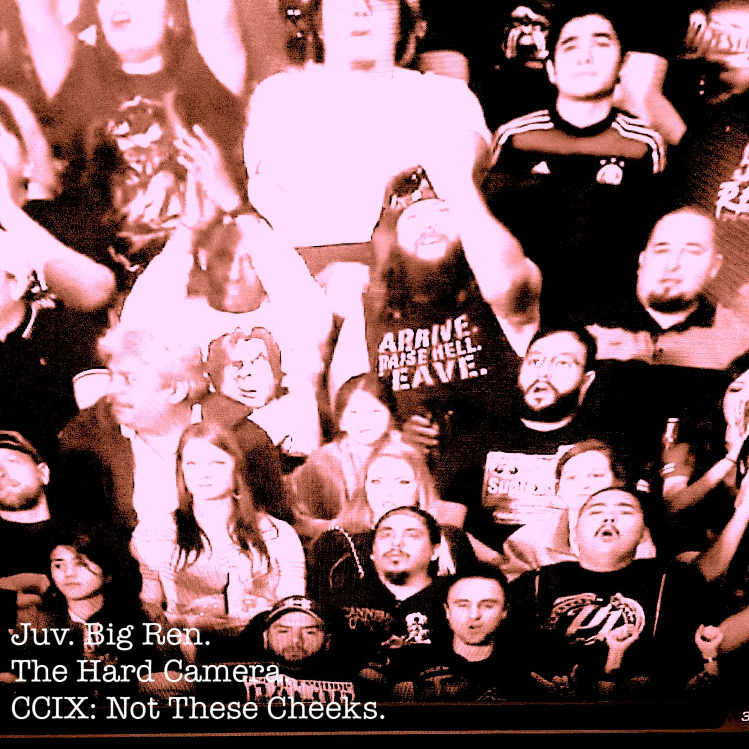 The Hard Camera CCIX: Not These Cheeks. episode artwork