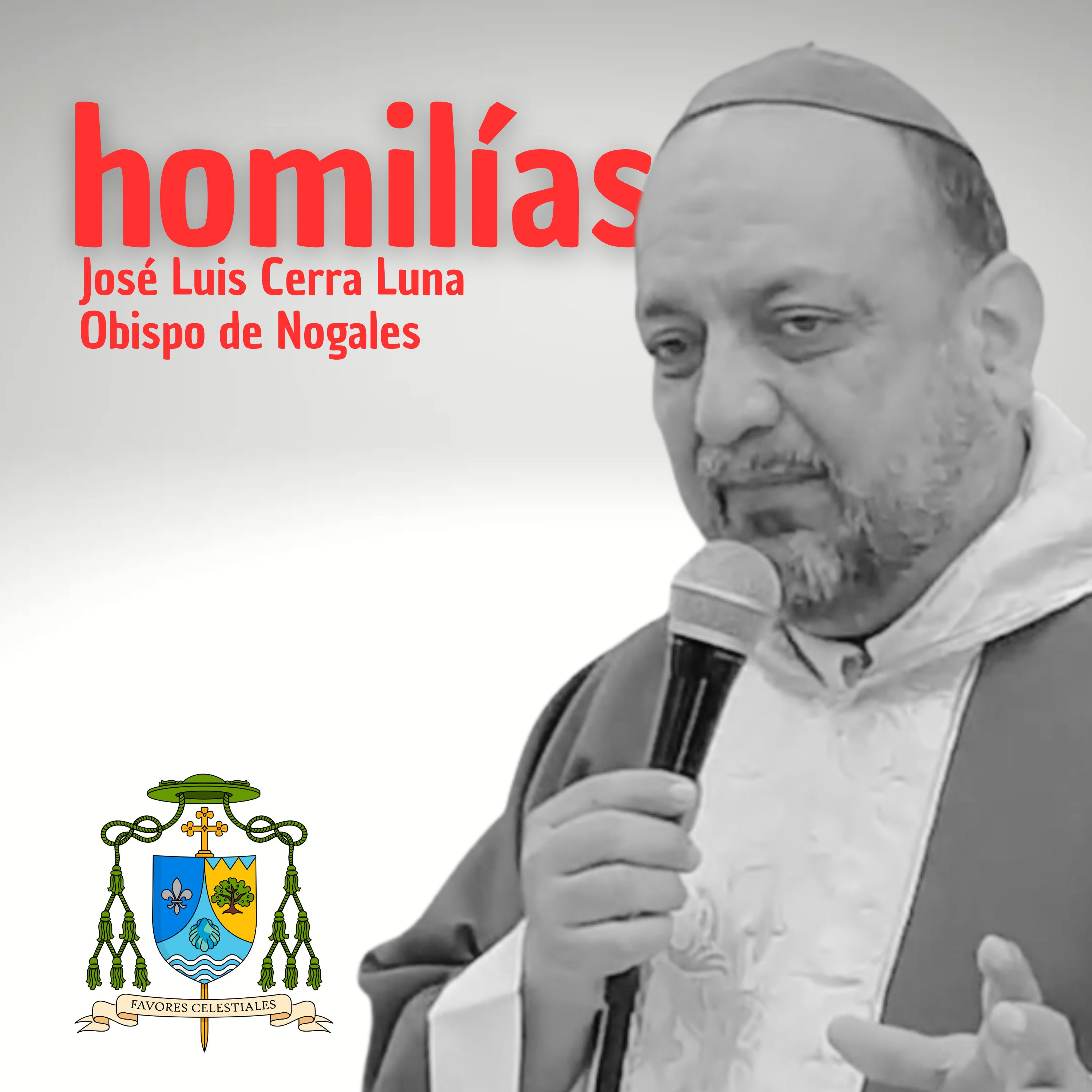 Domingo XVII Tiempo Ordinario episode artwork