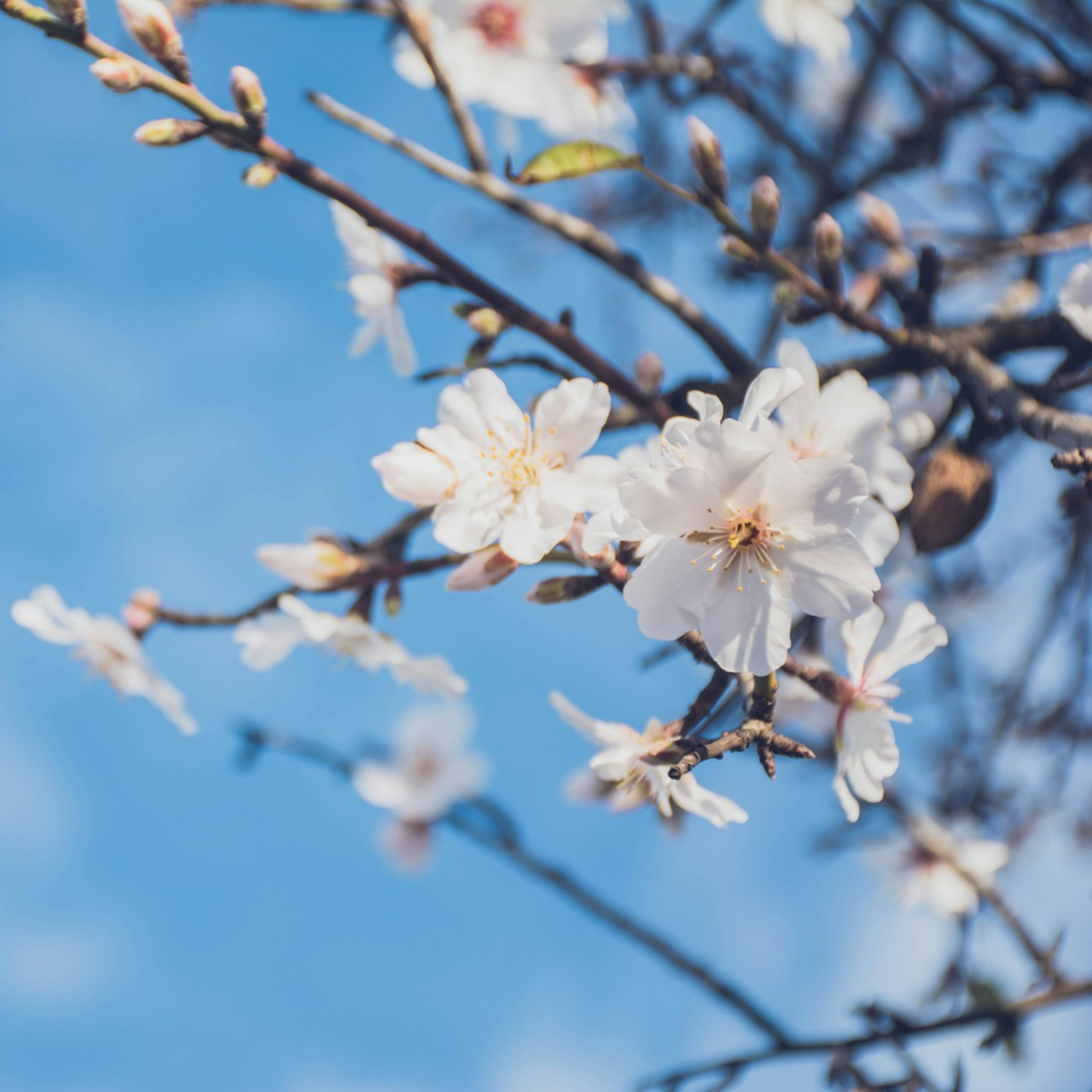 Predici audio Biserica Baptistă Providența Brașov