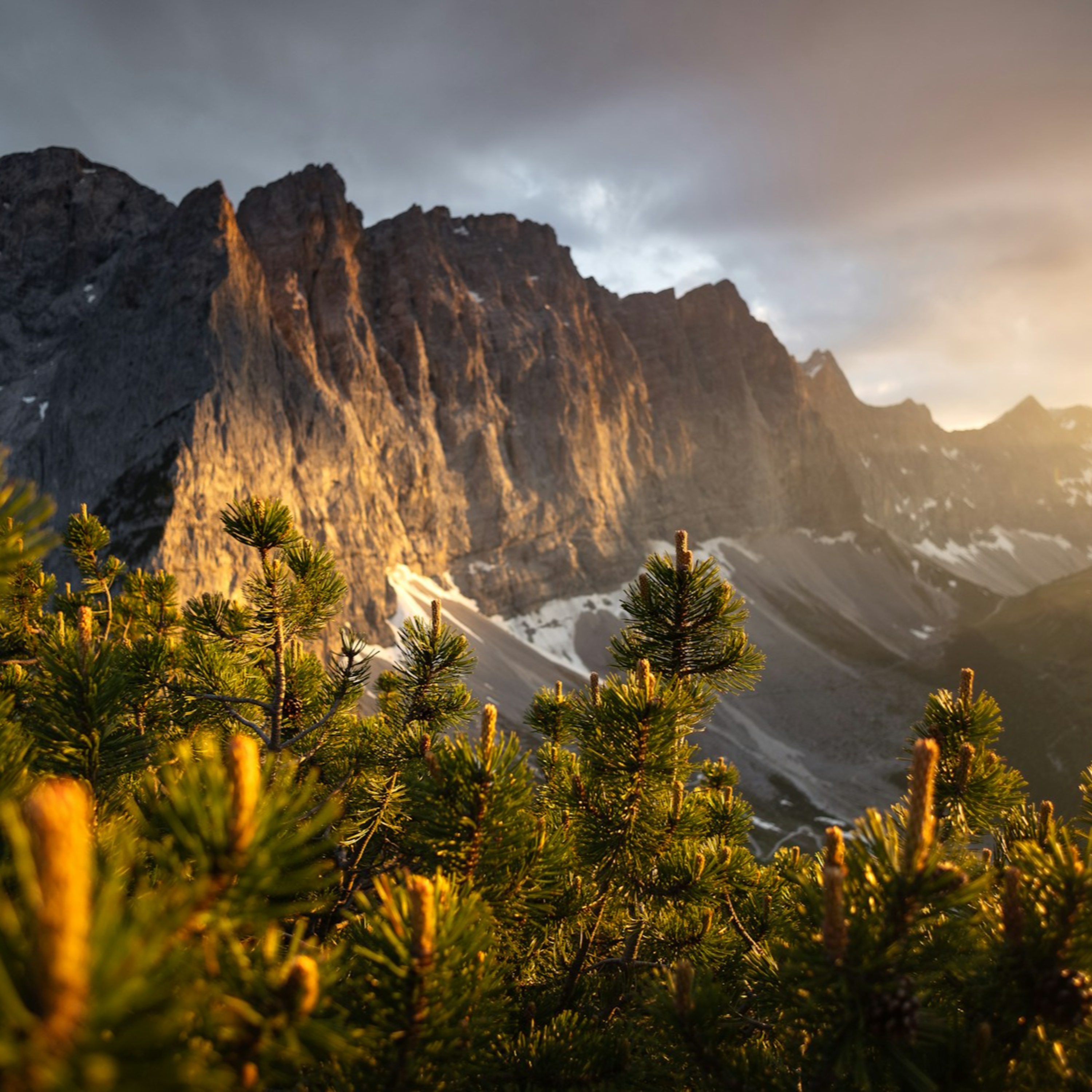 Predici audio Biserica Baptistă Providența Brașov