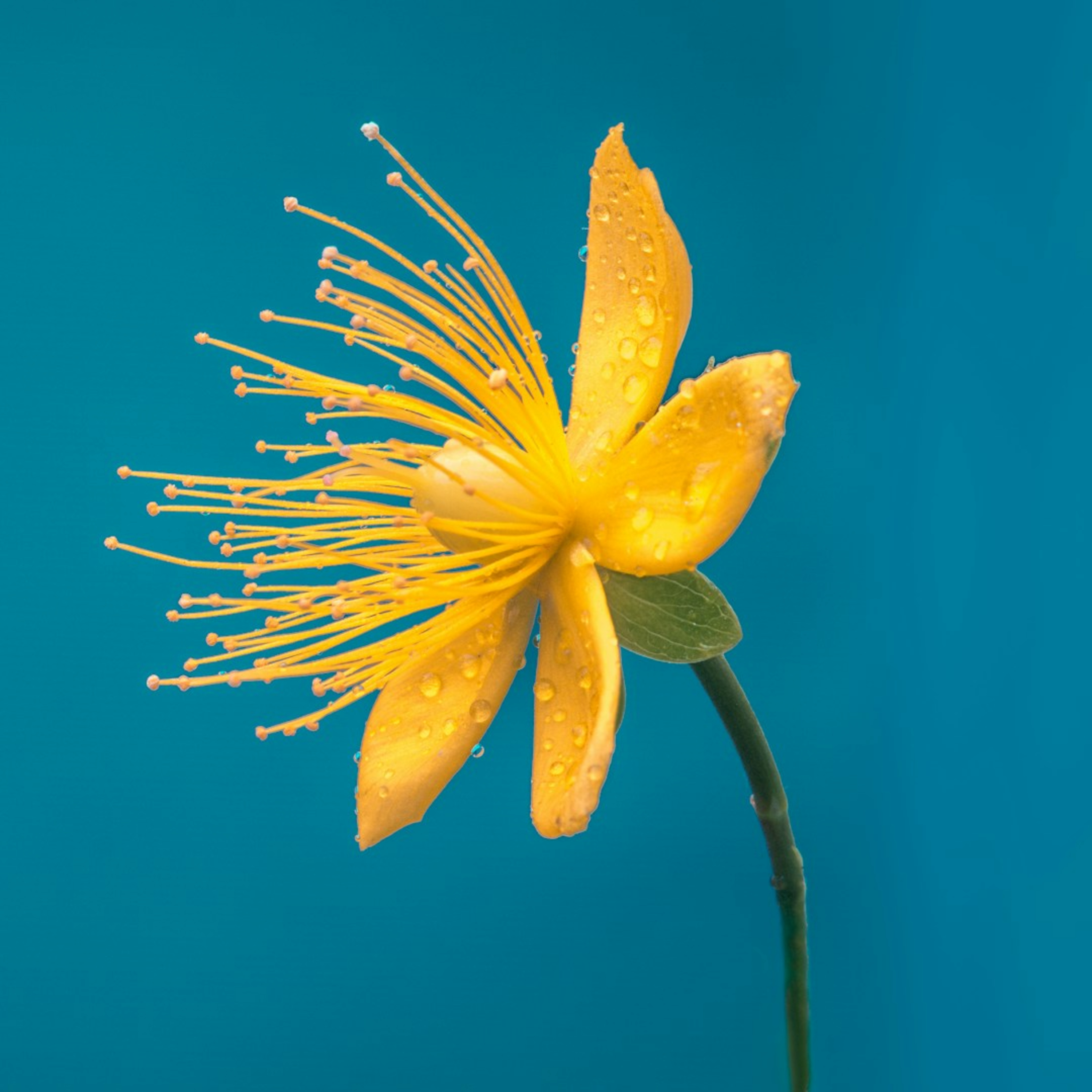 Predici audio Biserica Baptistă Providența Brașov