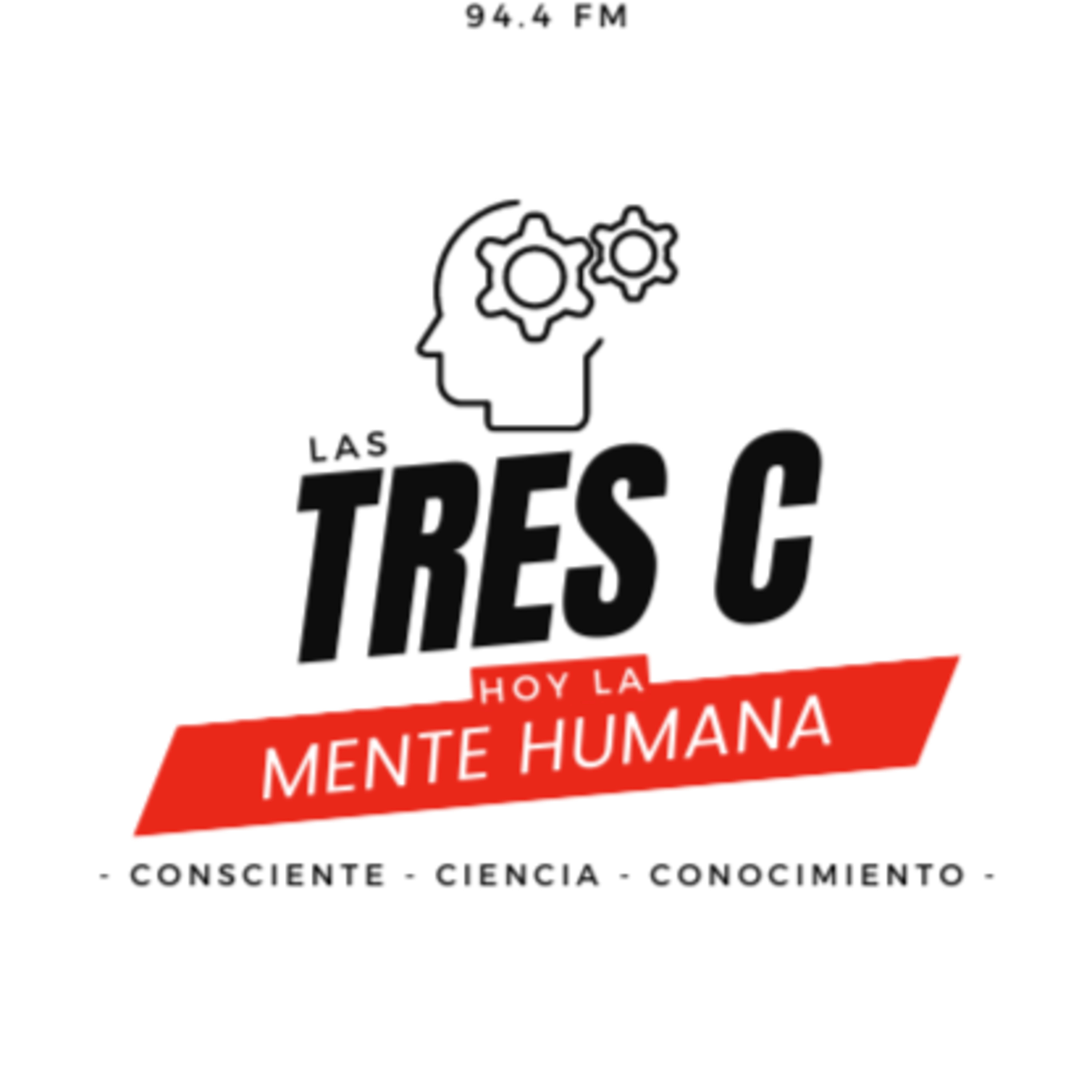 Vida, salud y bienestar: Terapias complementarias