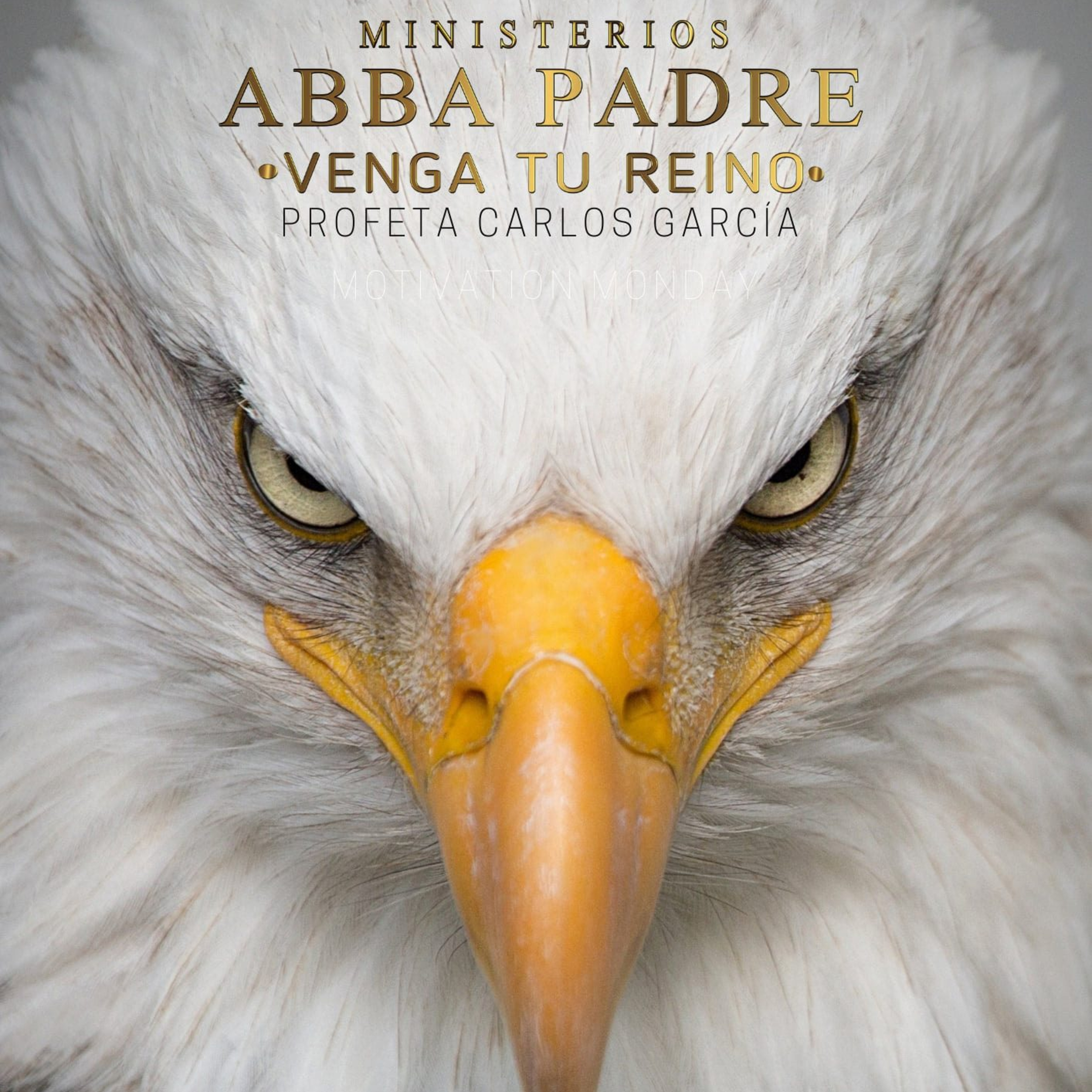 Generación Favorable E4- El Príncipe 280224  episode artwork