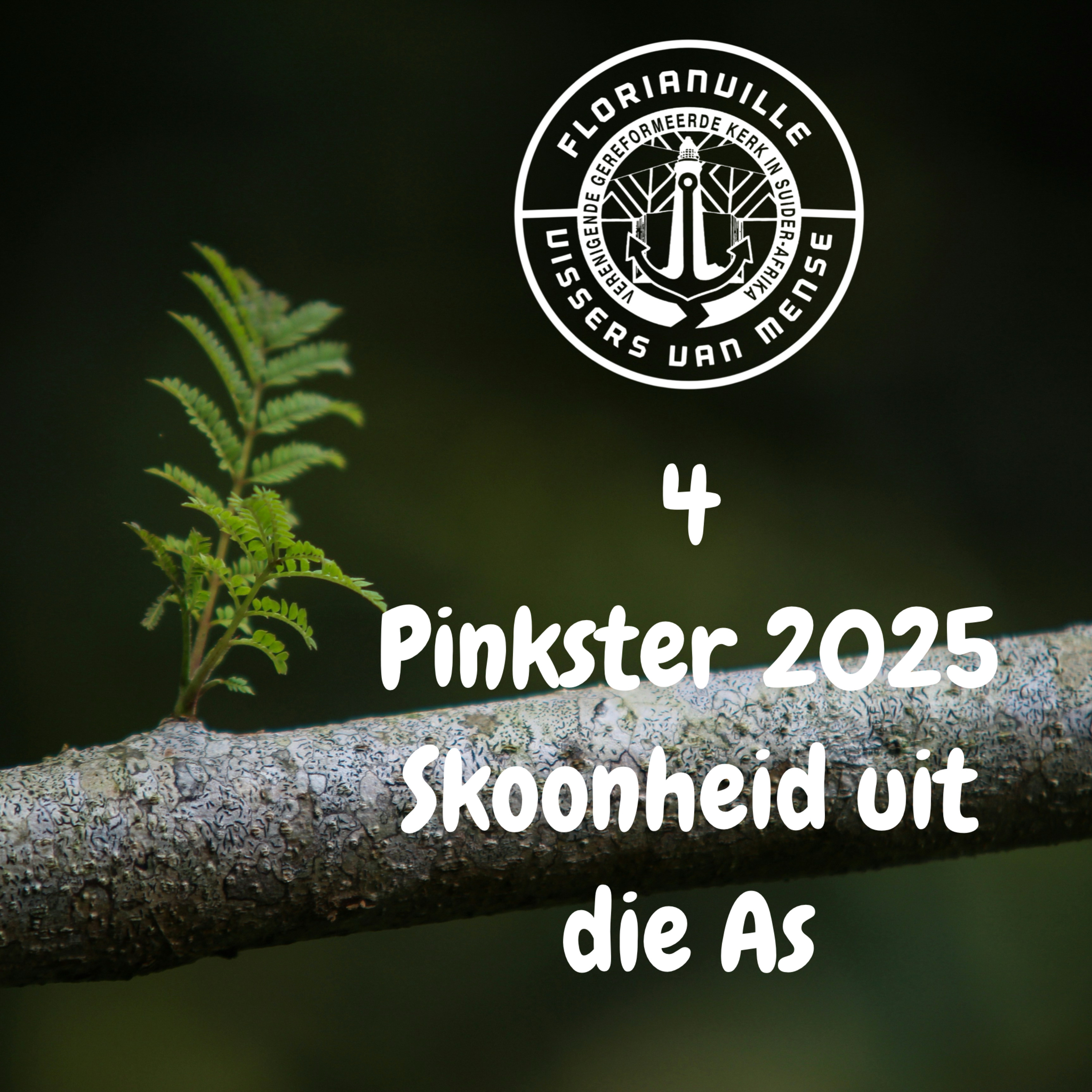 Die skoonheid van vergifnis en genesing.  episode artwork