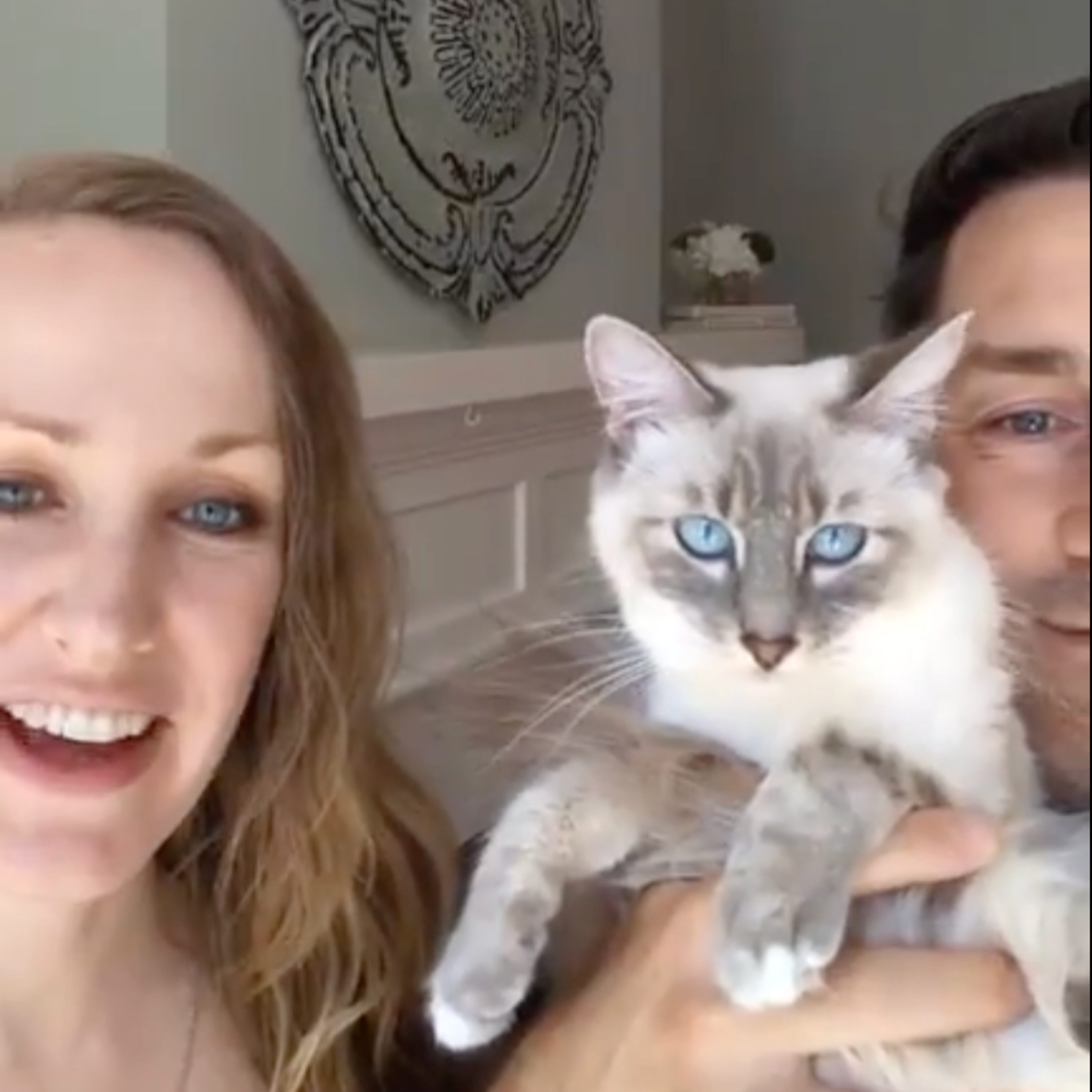 UNITE update & kitty cuddles! ~ SpeedHealing App Launch ~ Upcoming Events ~ BIG VISION! episode artwork