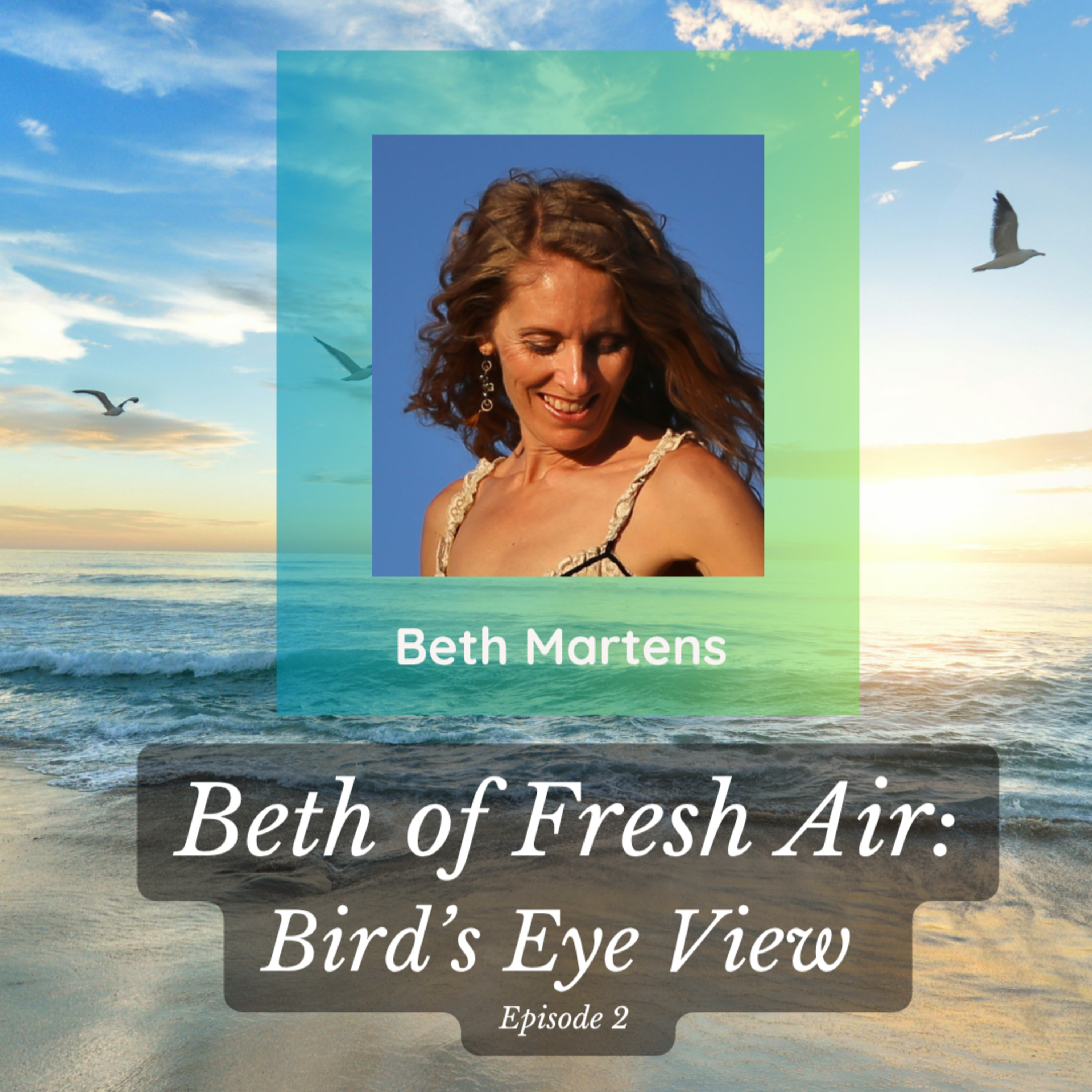 Beth of Fresh Air - Episode 2: Bird's Eye View