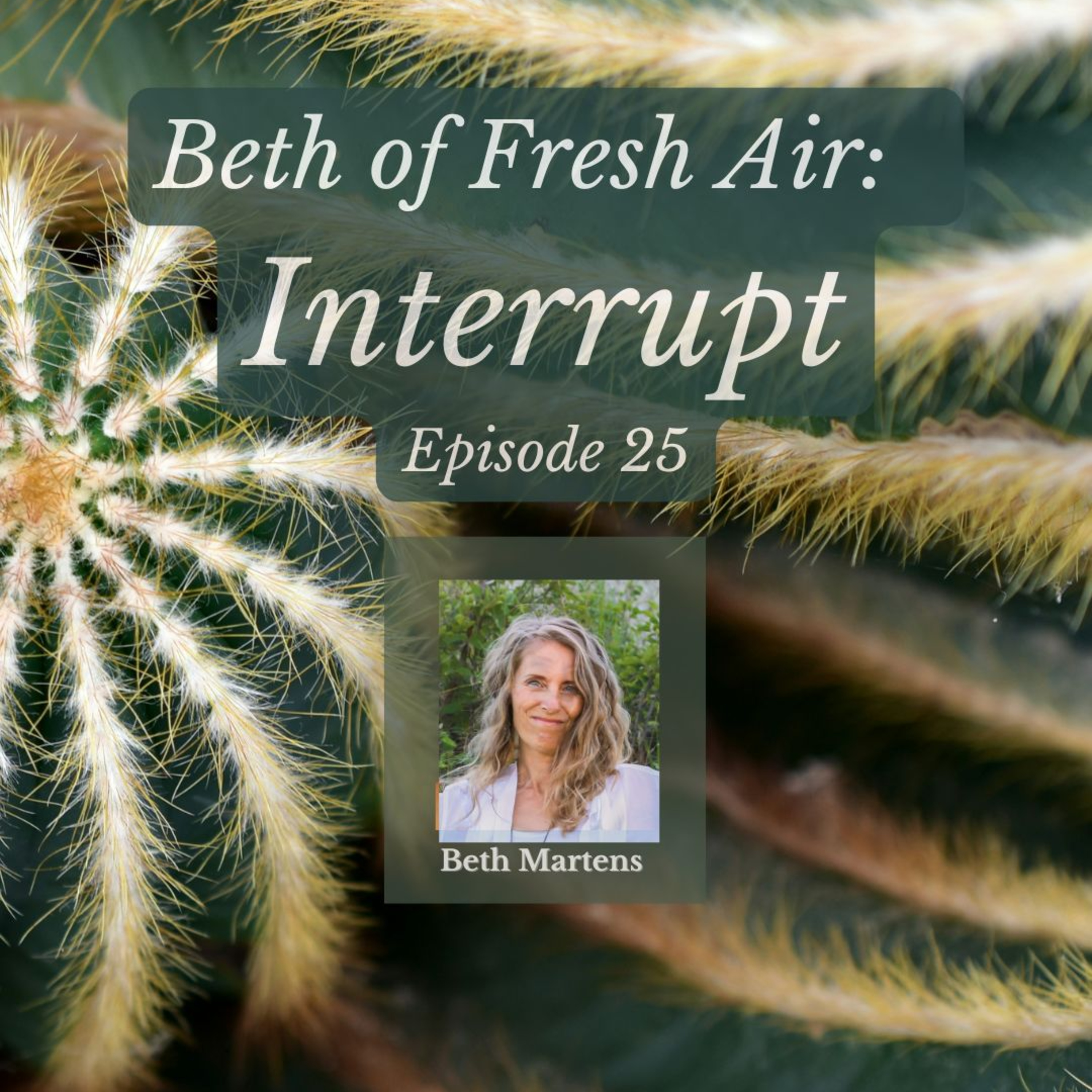 Beth of Fresh Air – Episode 25: Interrupt Beth of Fresh Air – Episode 25: Interrupt