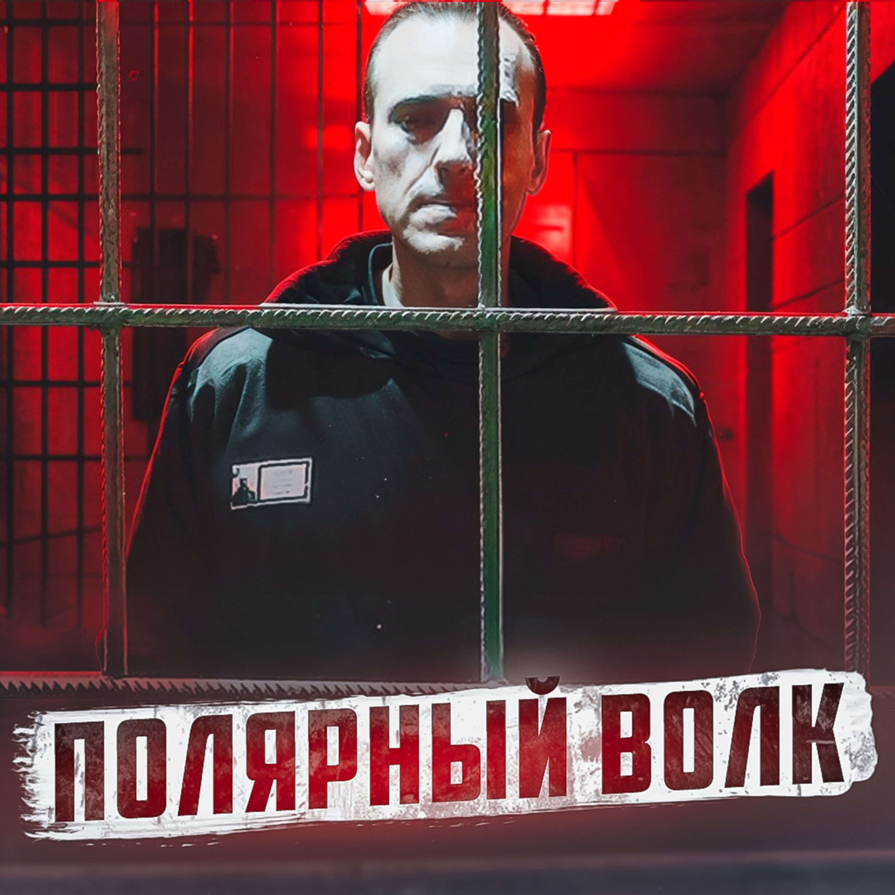 🇷🇺 ПОЛЯРНЫЙ ВОЛК // Зона, где умер Навальный episode artwork