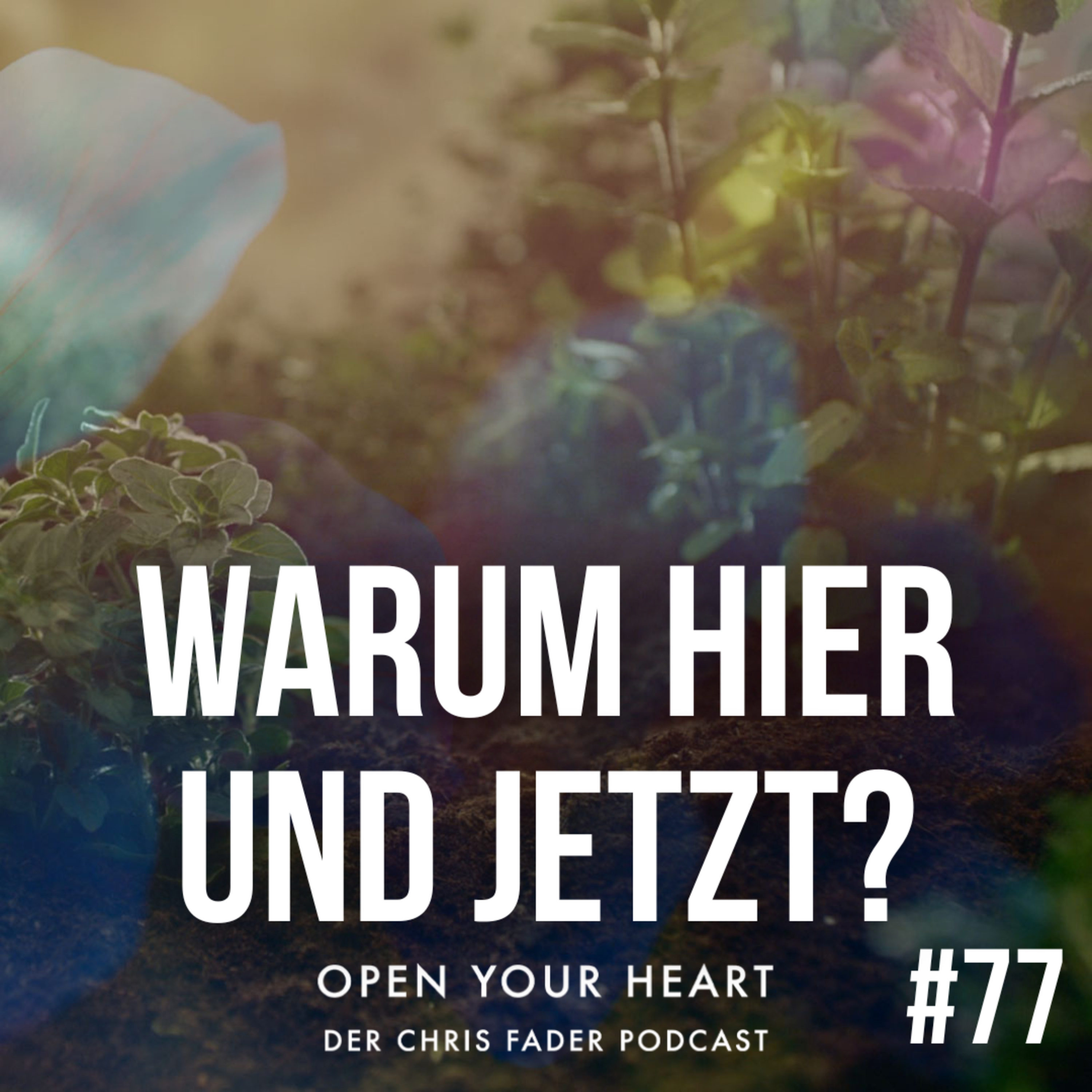 Open Your Heart - Der Chris Fader Podcast