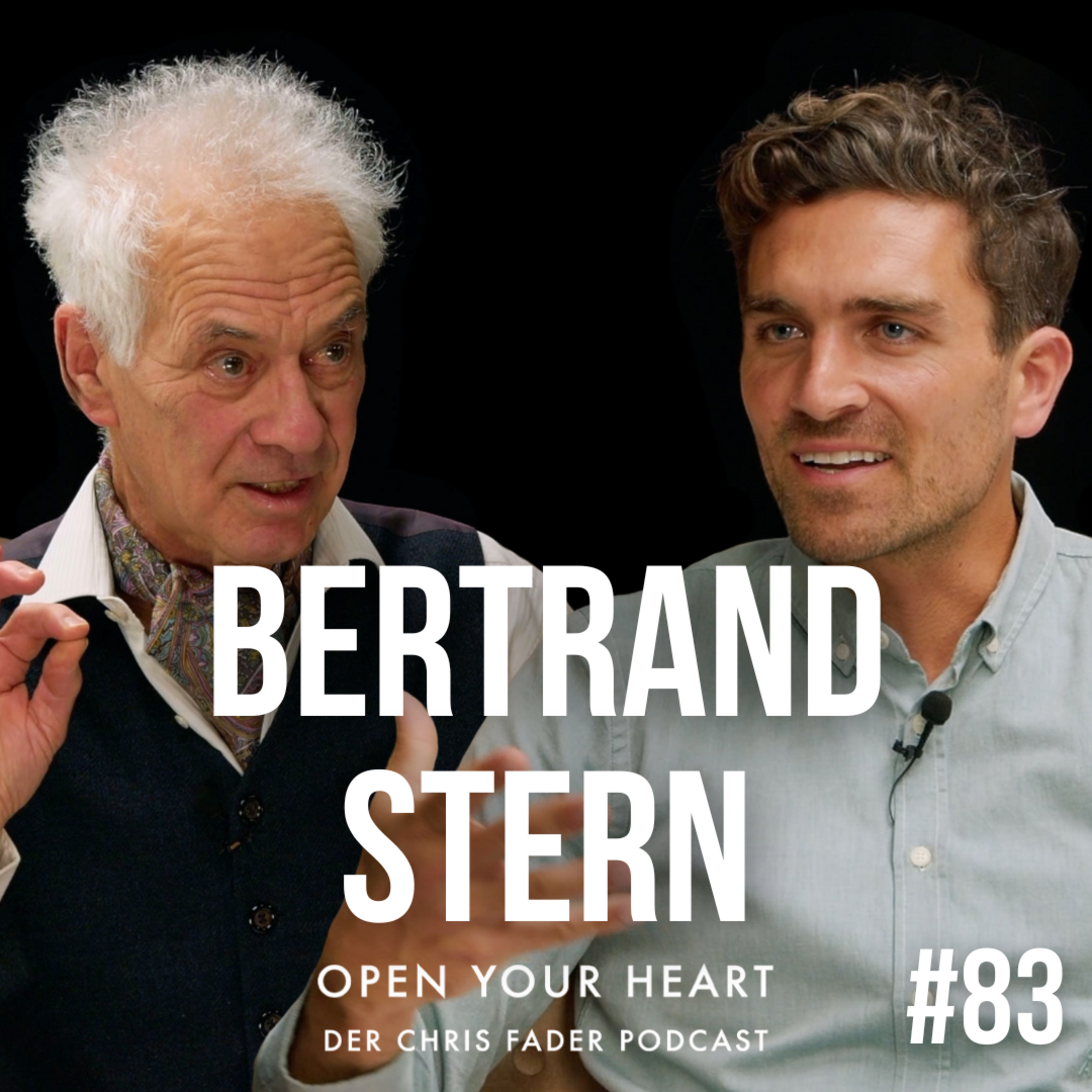 Bertrand Stern - Frei sich bilden - Raus aus der Schulpflicht, rein in die Freiheit! TEIL 1 episode artwork
