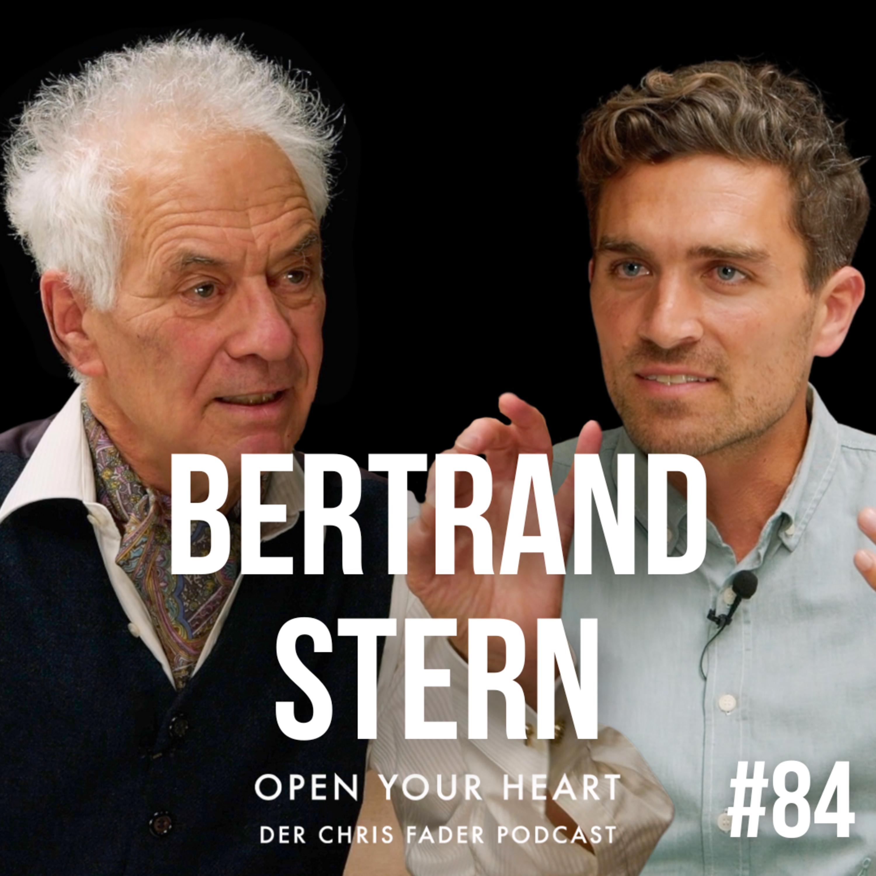 Bertrand Stern - Frei sich bilden - Wie wir aus dem Schulzwang rauskommen! TEIL 2 episode artwork