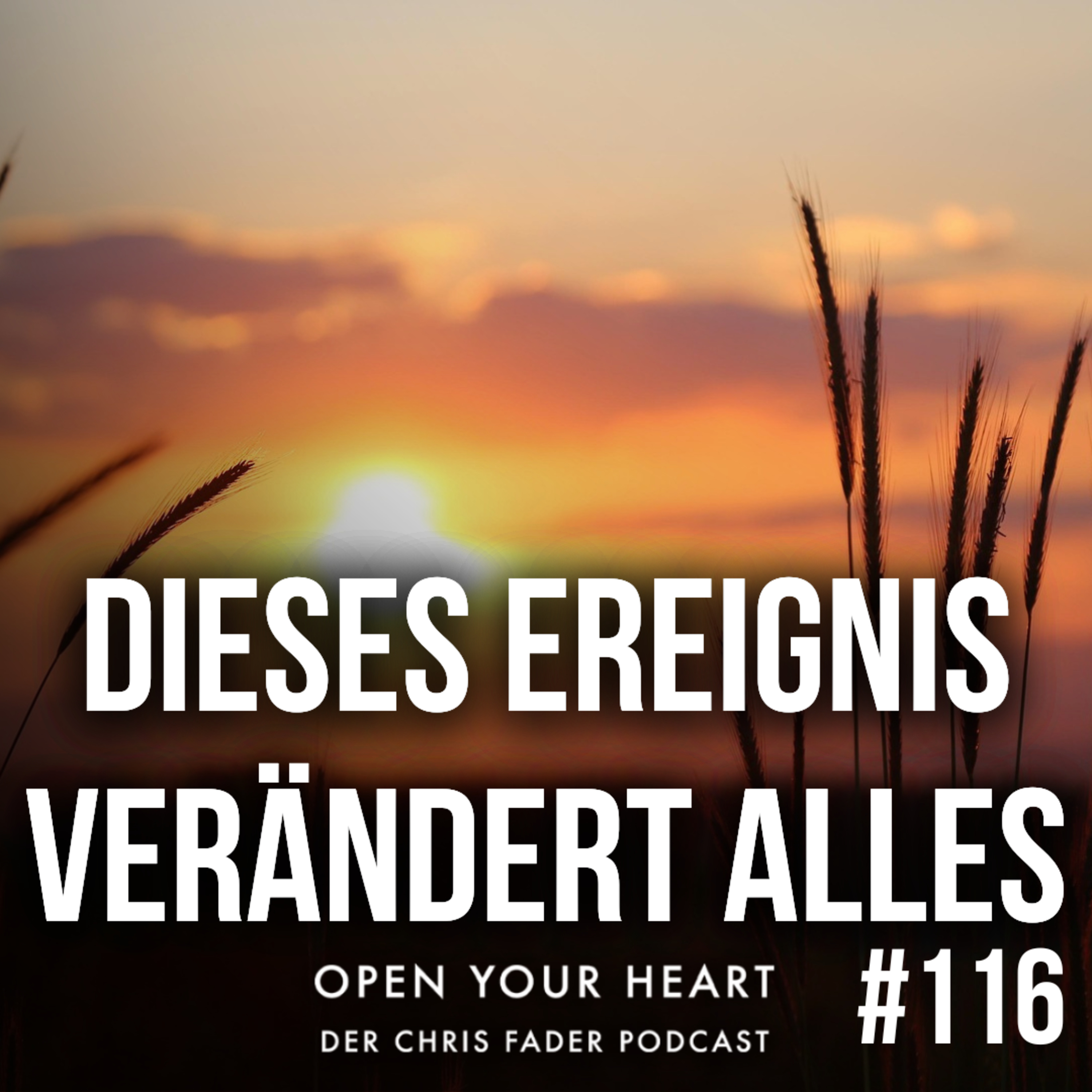 "Dieses Ereignis verändert alles" – Wenn plötzlich alles weg sein könnte… | Unsere wichtigste Erkenntnis im Open Your Heart Podcast episode artwork