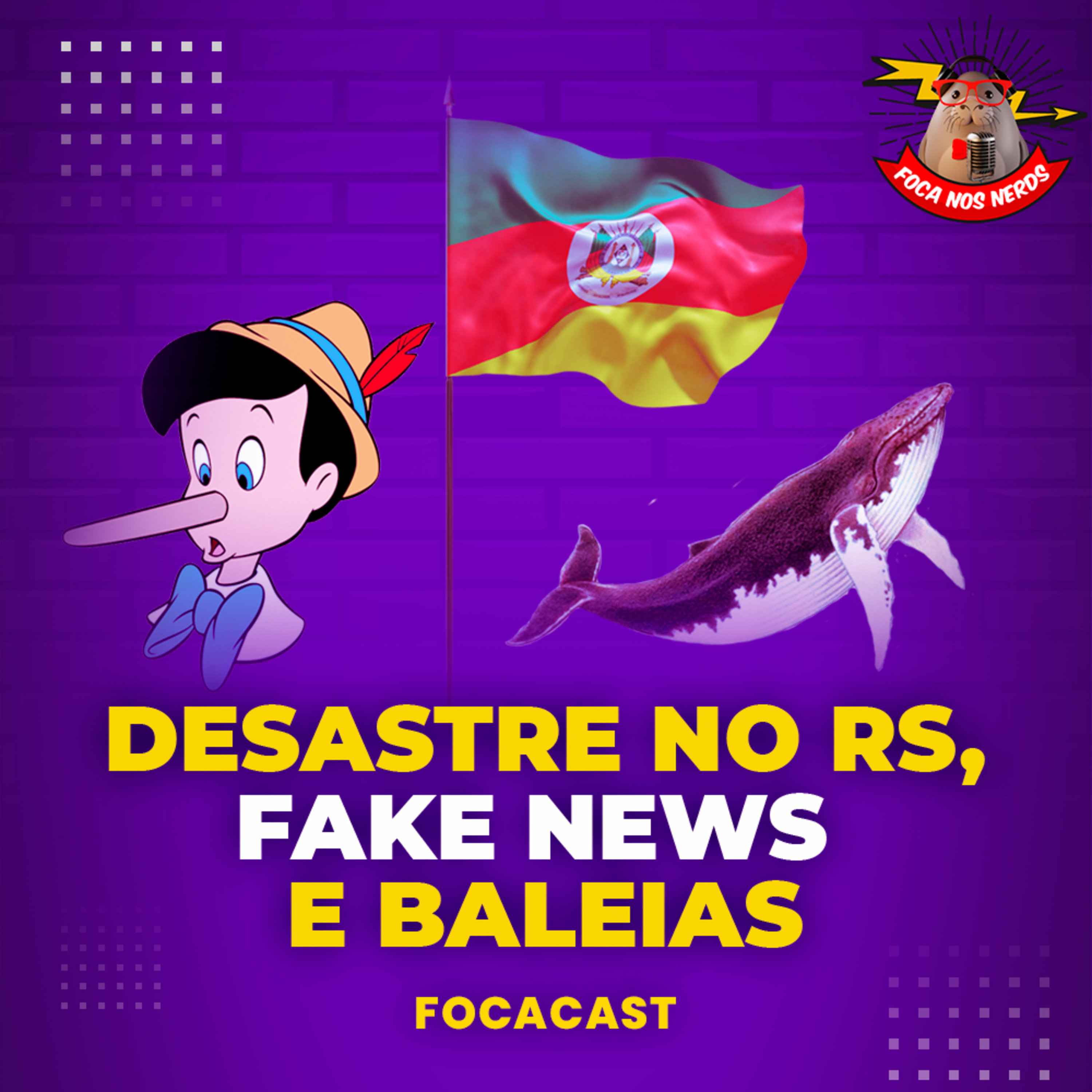 cover of episode FocaCast #070 – Desastre no RS, Fake News e Baleias