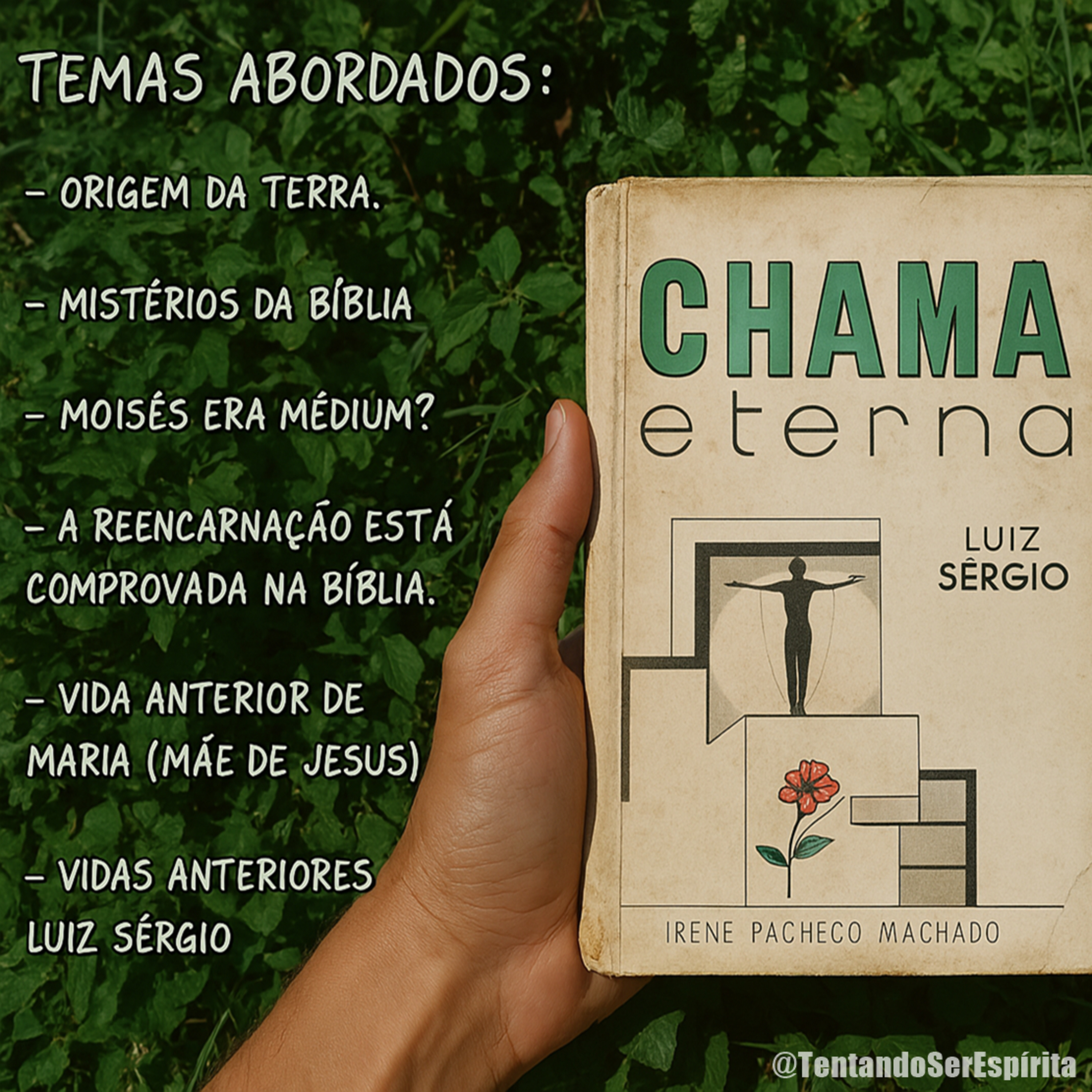 CHAMA ETERNA - Luiz Sérgio (AudioLivro COMPLETO / Audiobook espírita) episode artwork