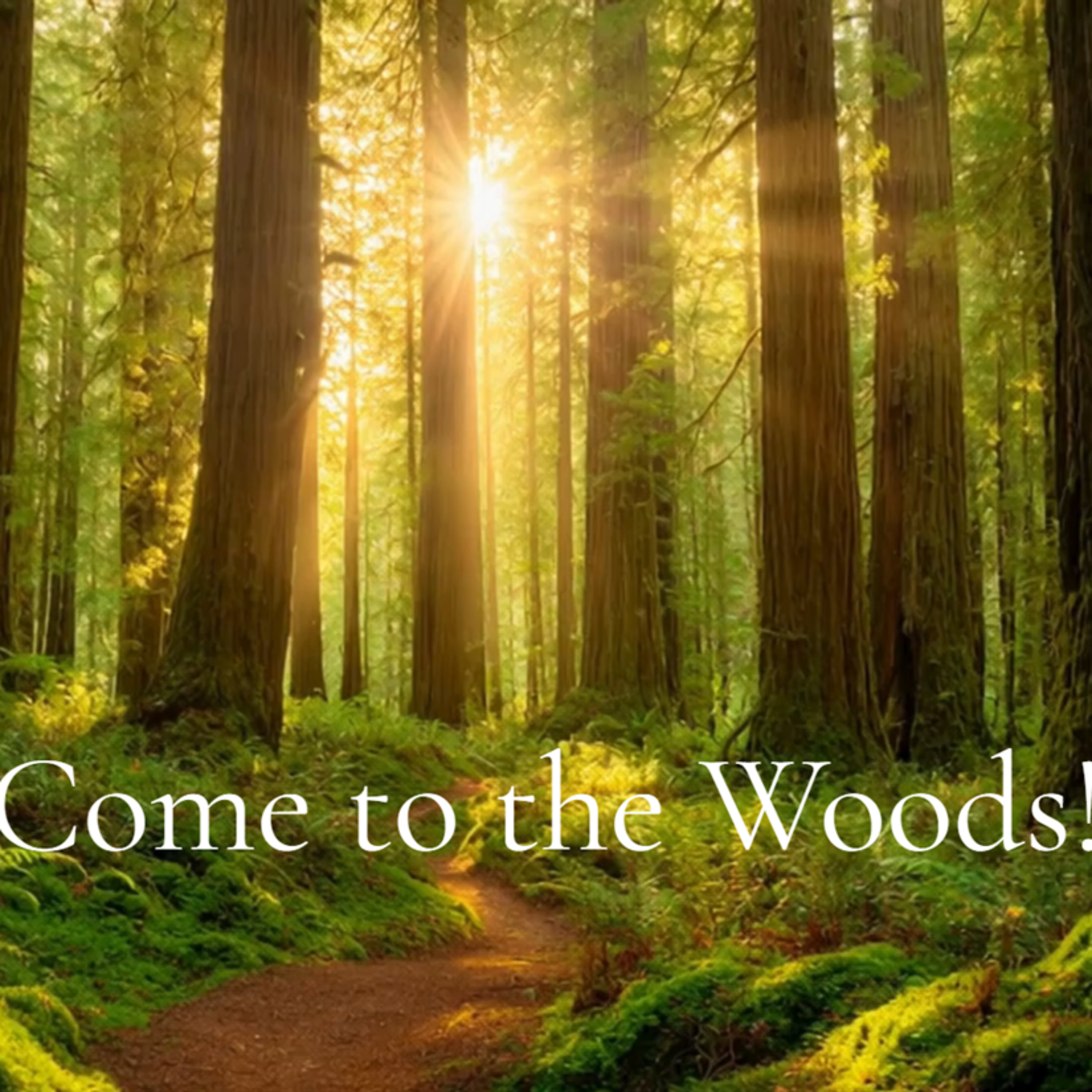 John Muir ~ Come to the Woods! (Video)