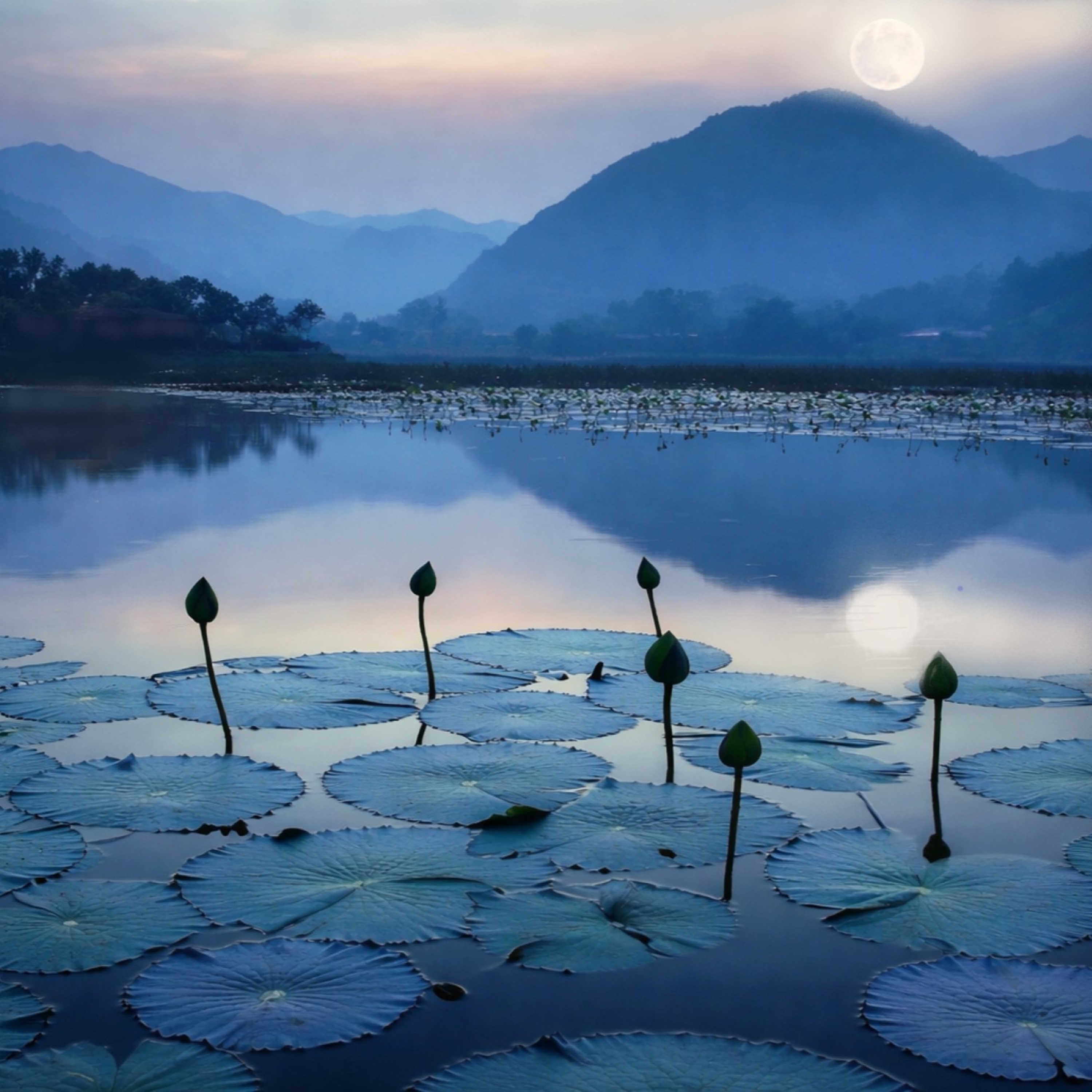 Ryokan ~ This Floating World ~ Zen Buddhism