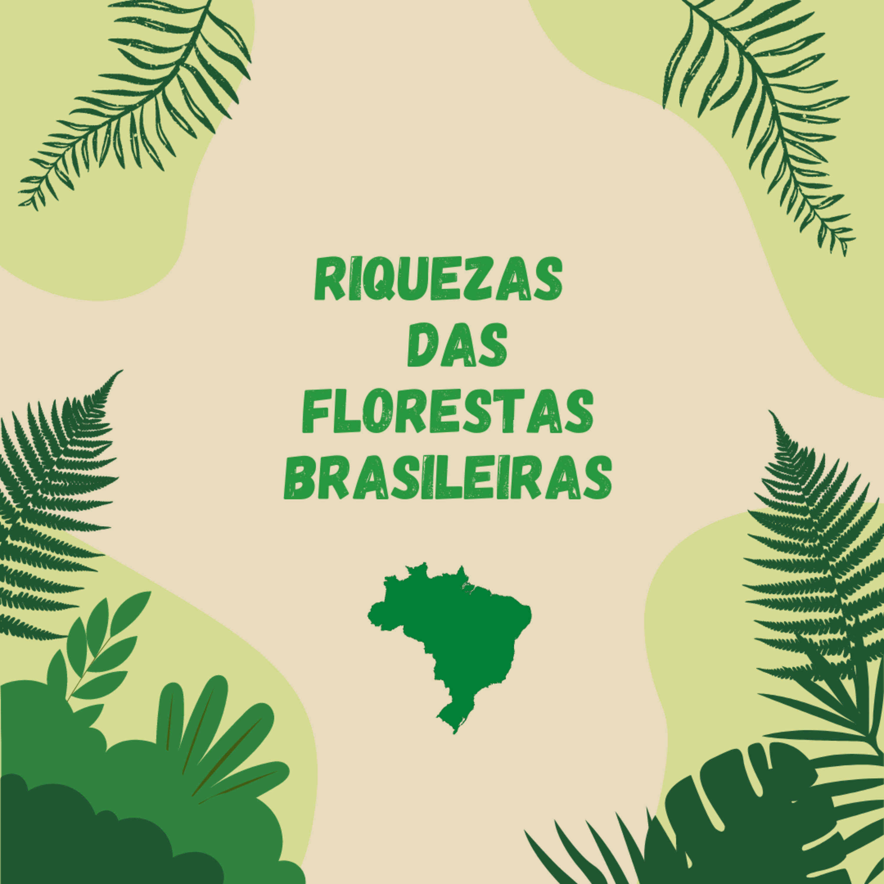 Caminhos da Floresta