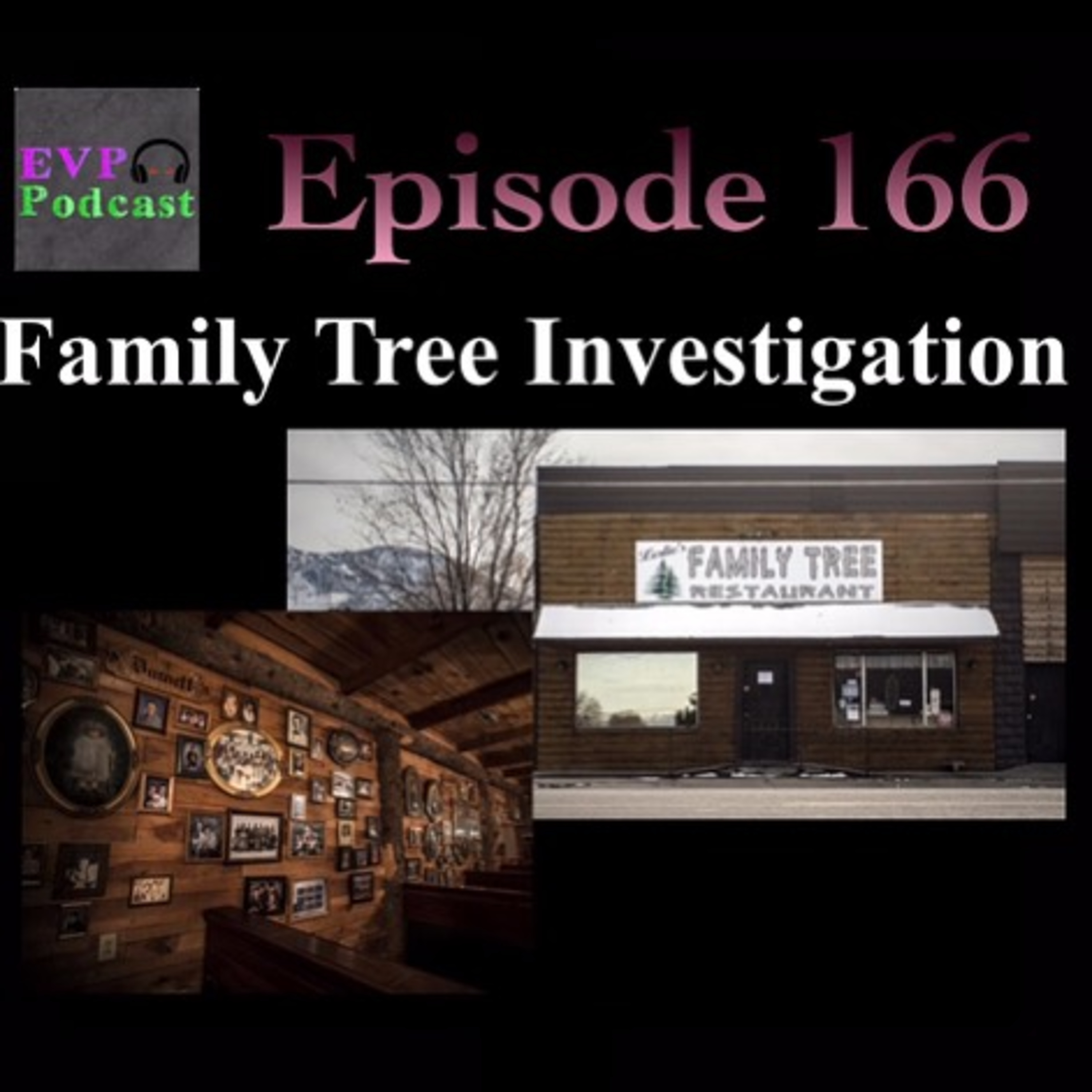 166 - Family Tree Investigation episode artwork