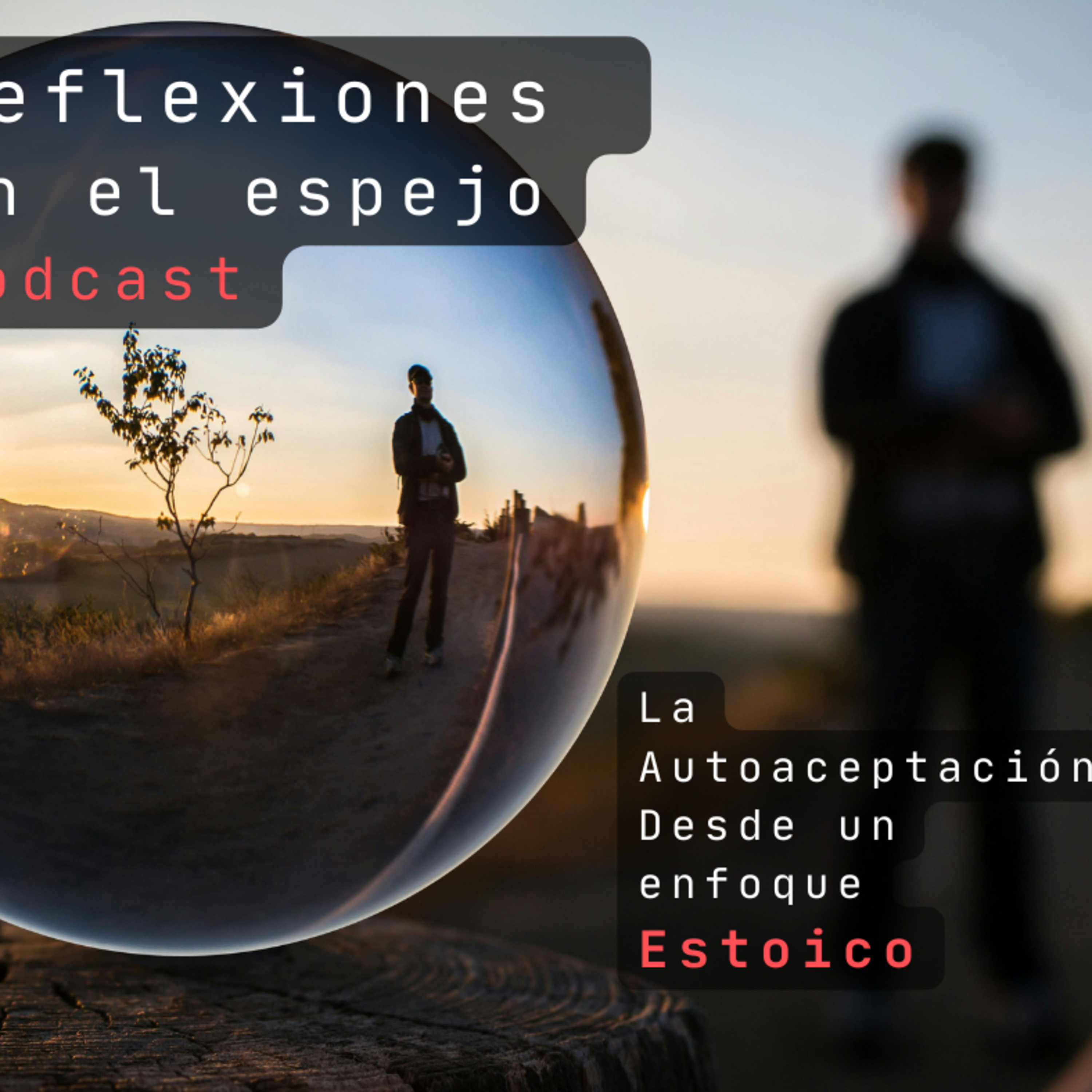 Portada de Reflexiones en el espejo.