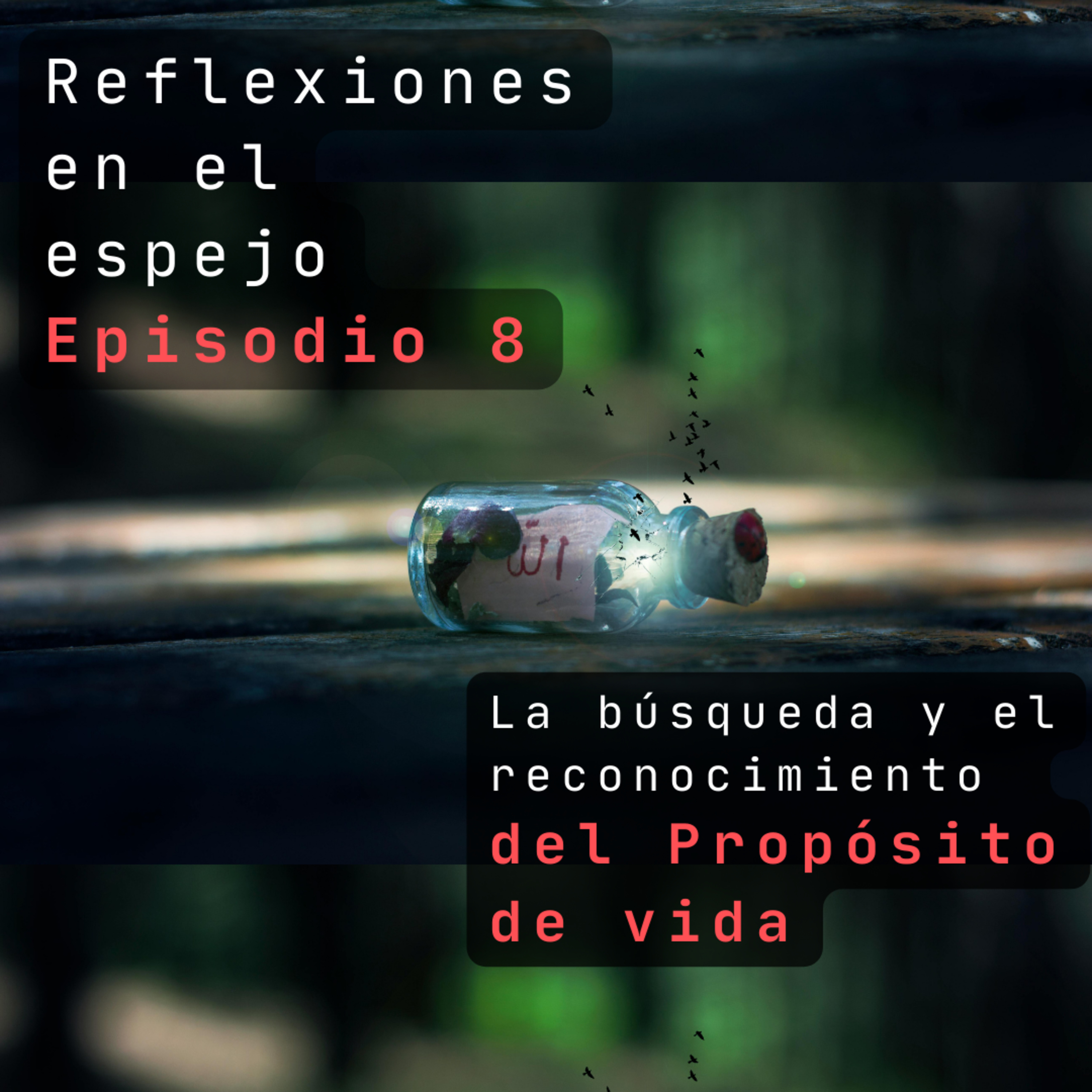 Portada de Reflexiones en el espejo.