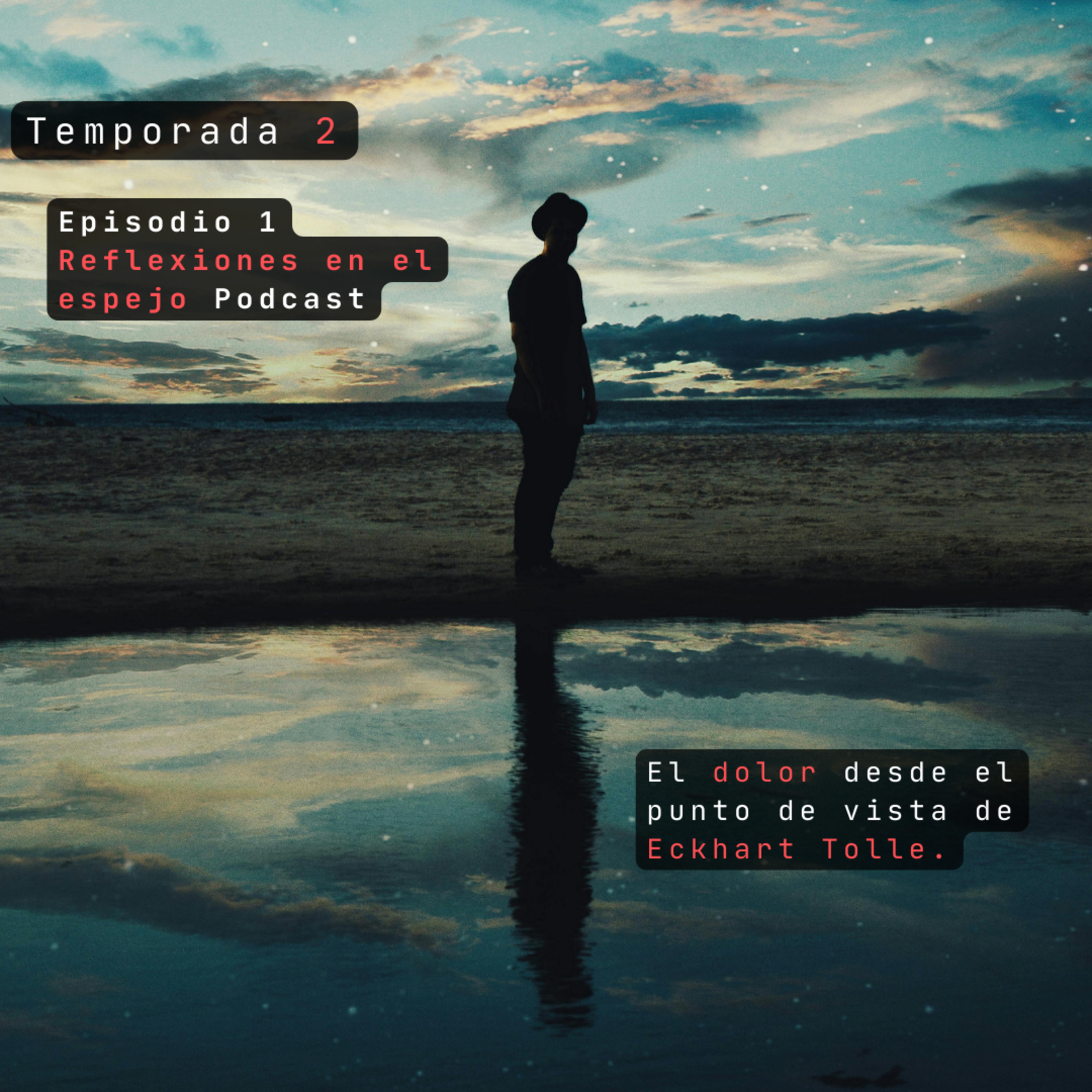 Portada de Reflexiones en el espejo.