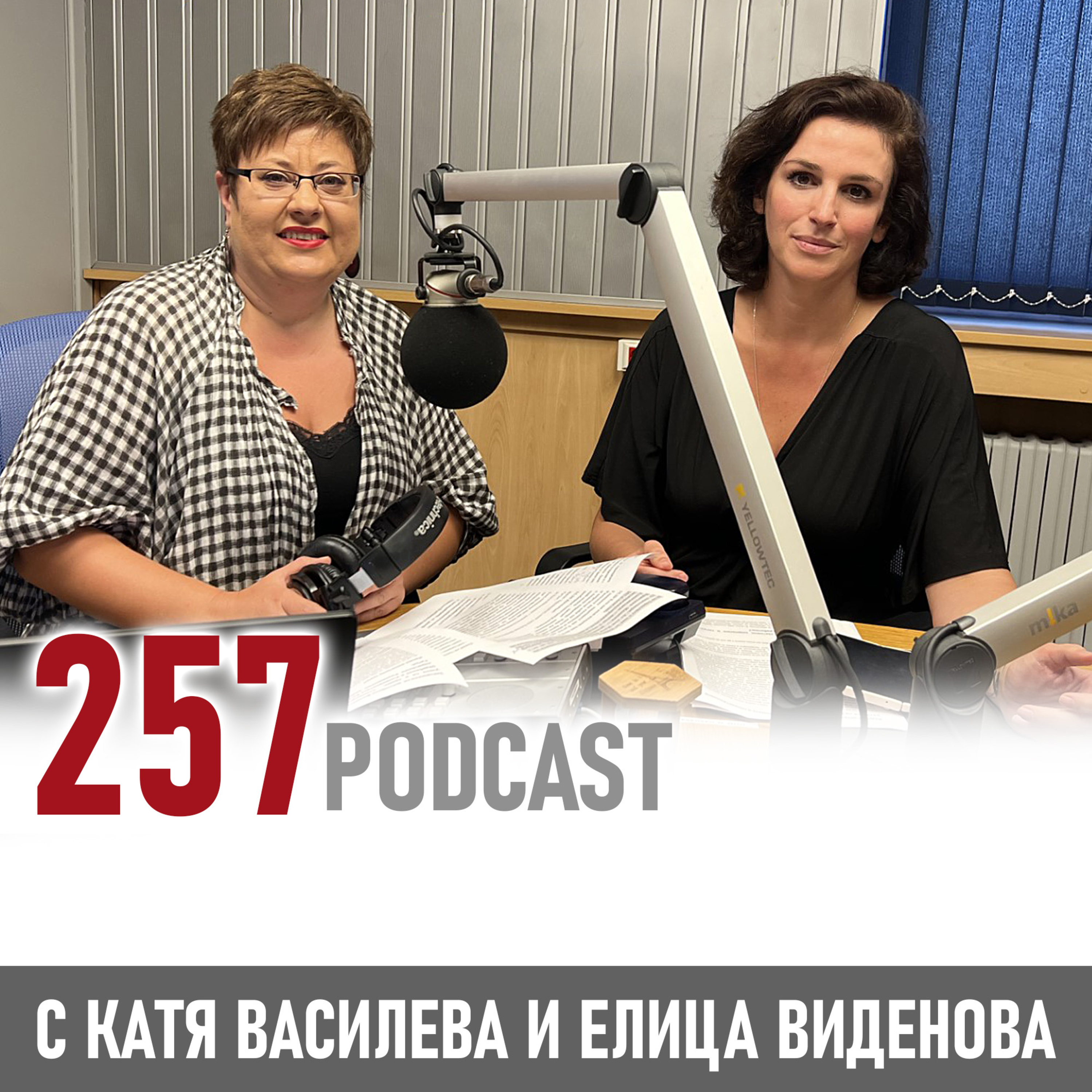 Елица Виденова – главен лингвист на Google за България episode artwork