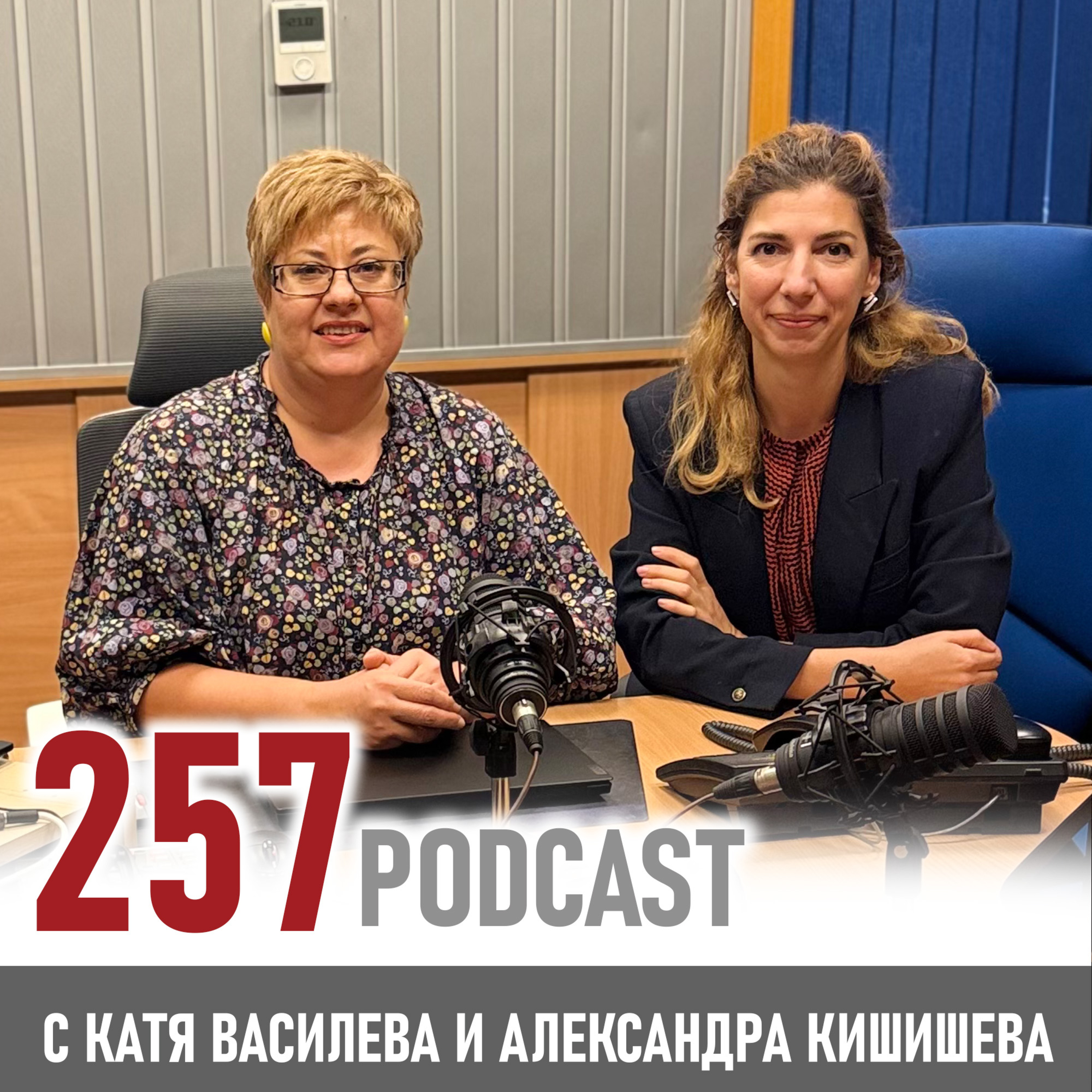 Мениджър за един ден или повече episode artwork