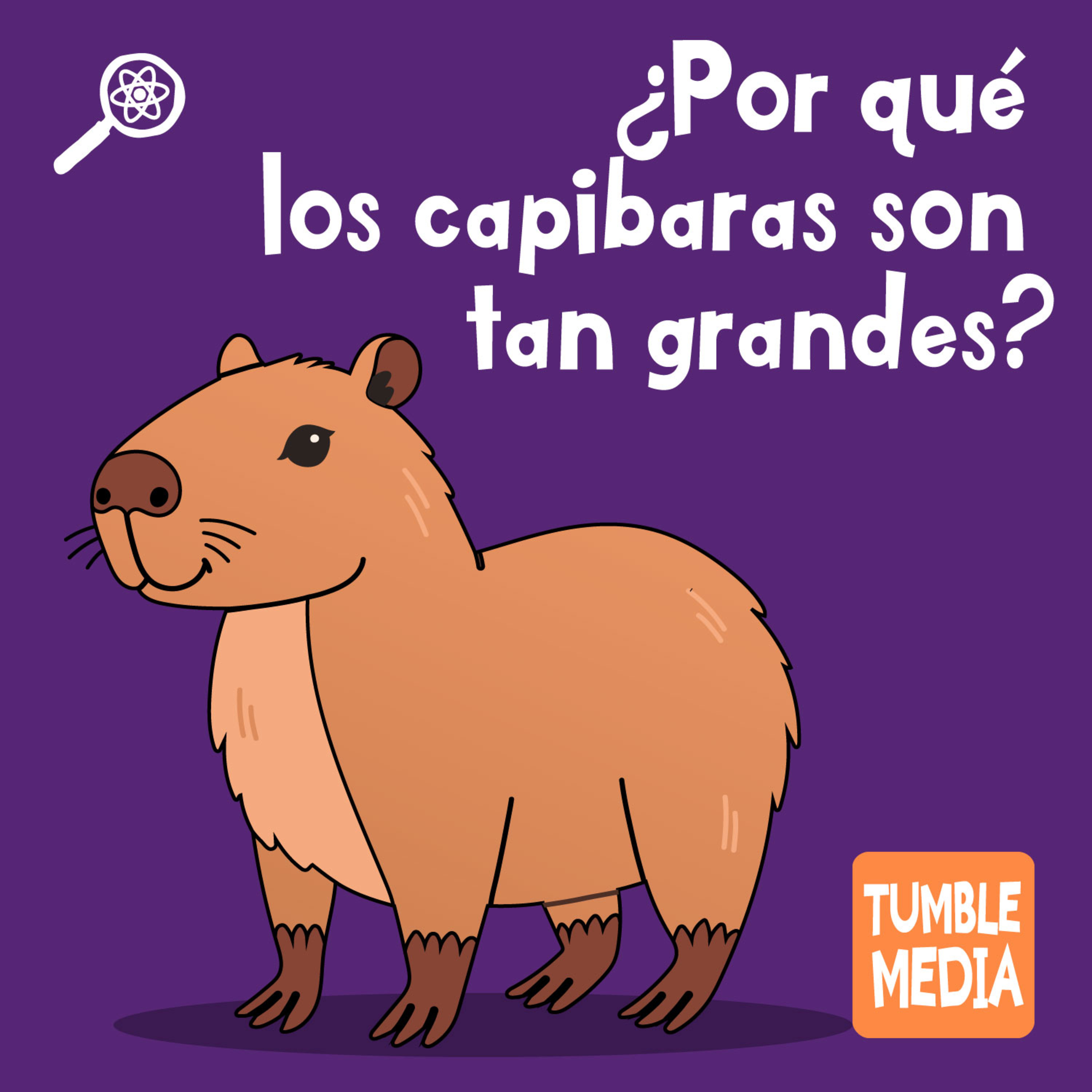 Cuentásticos