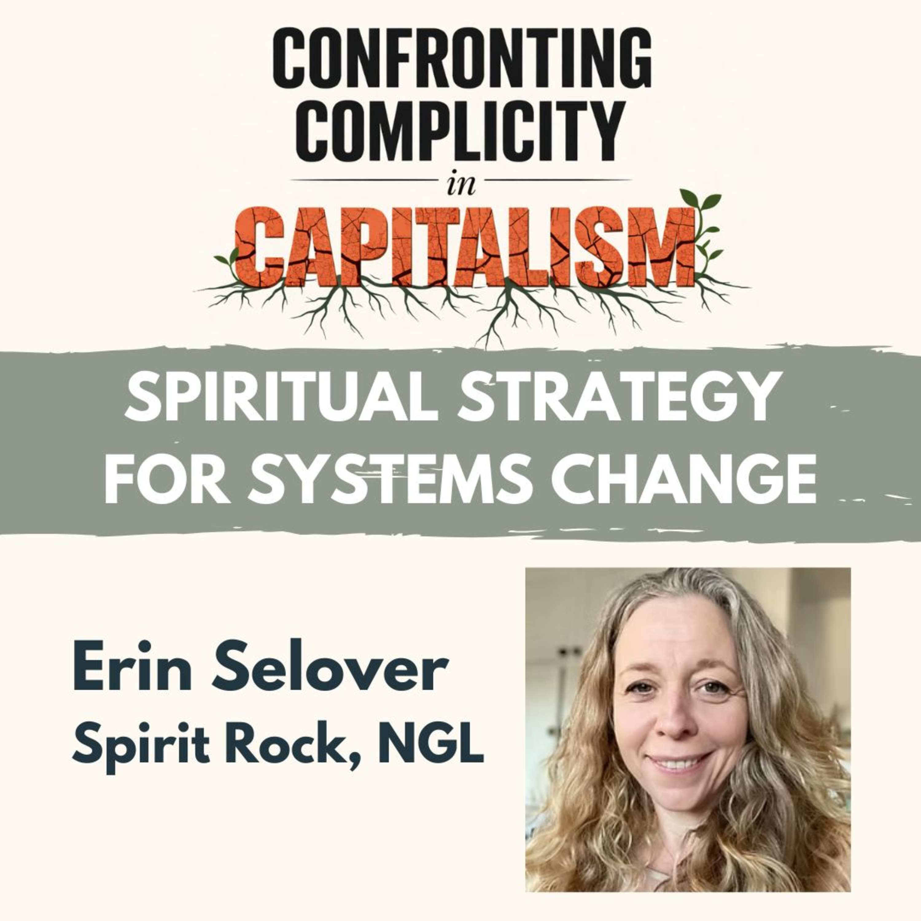 Spiritual Strategy for Systems Change - Erin Selover episode artwork