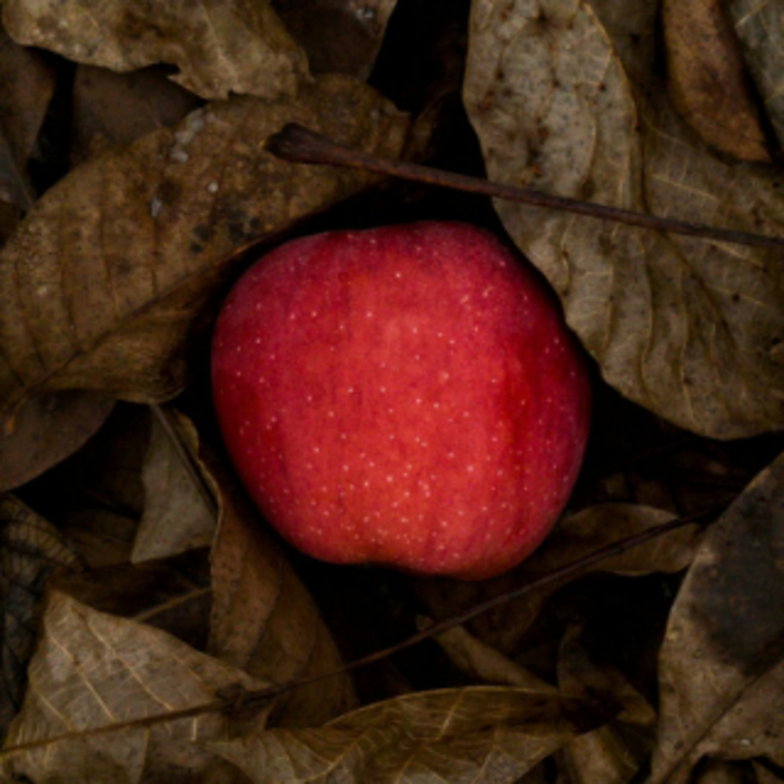 Penhill Community Church Talks