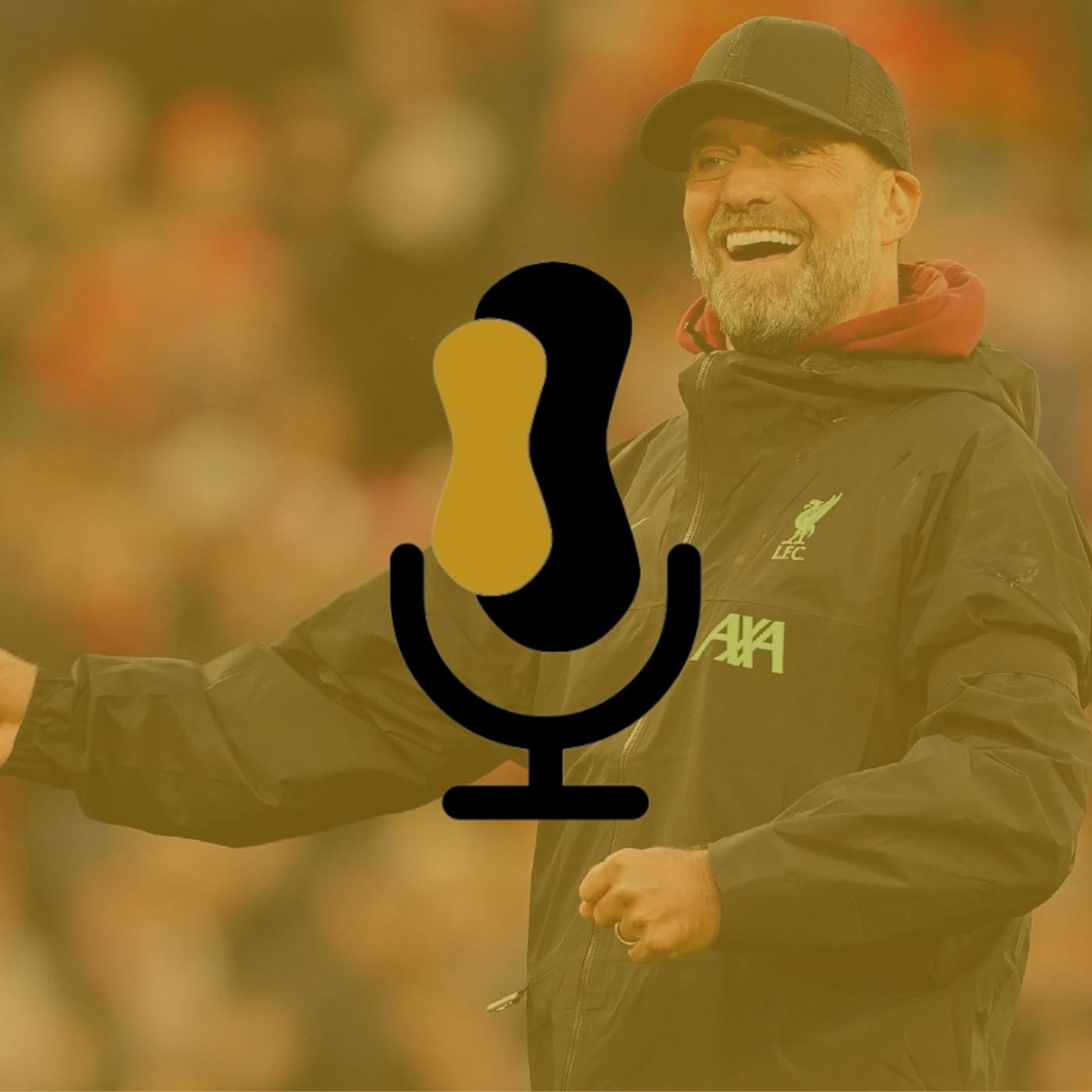Teamgeist Podcast
