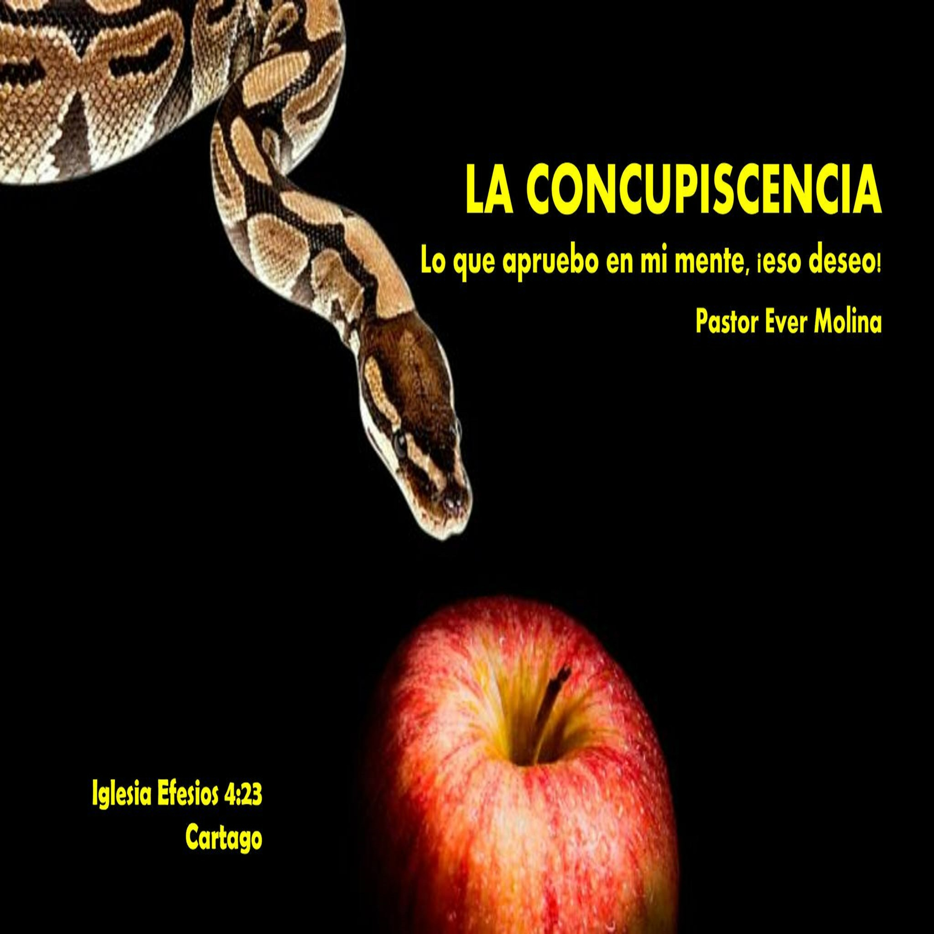 LA CONCUPISCENCIA: Lo que apruebo en mi mente, ¡eso deseo! episode artwork