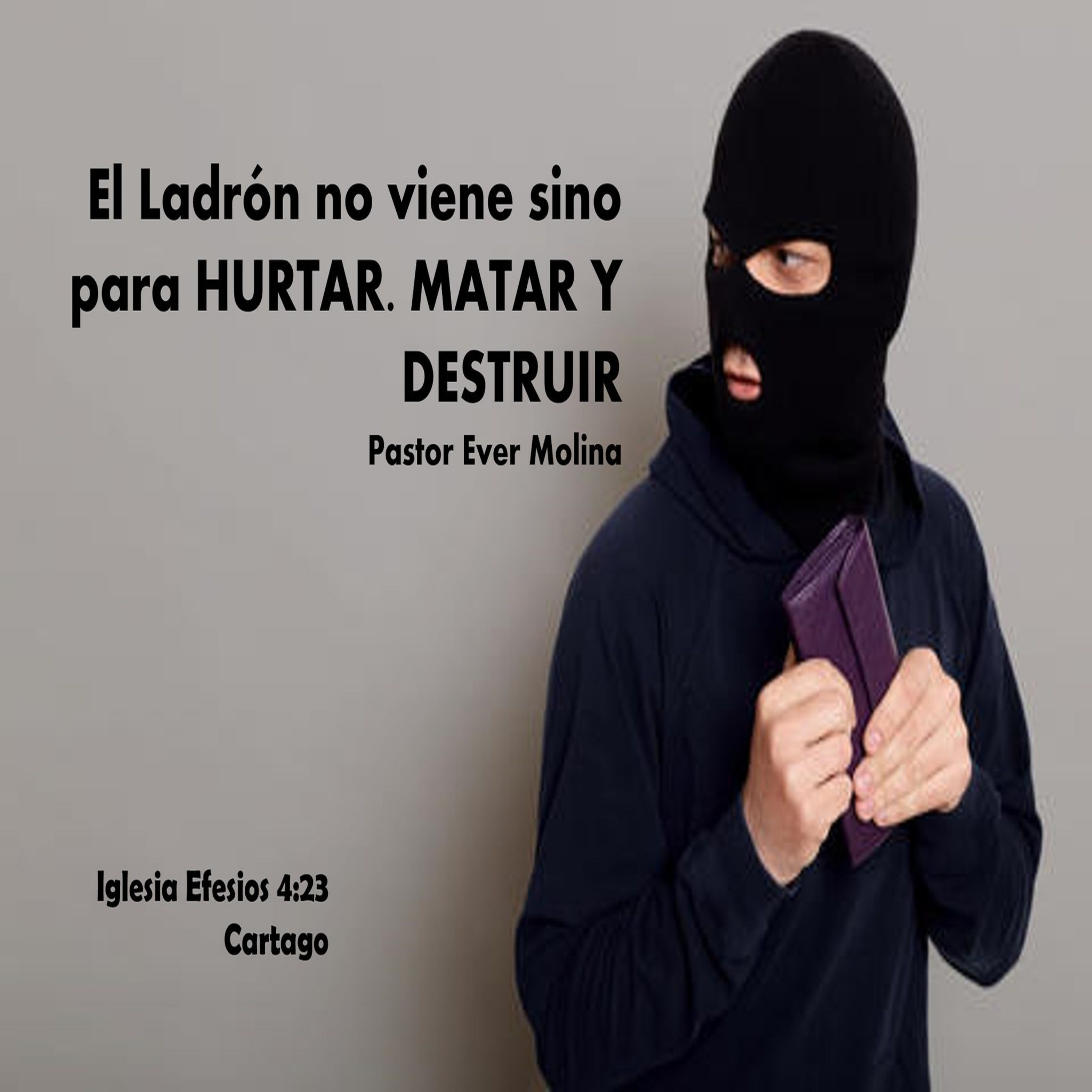 El Ladrón no viene sino para HURTAR, MATAR Y DESTRUIR episode artwork