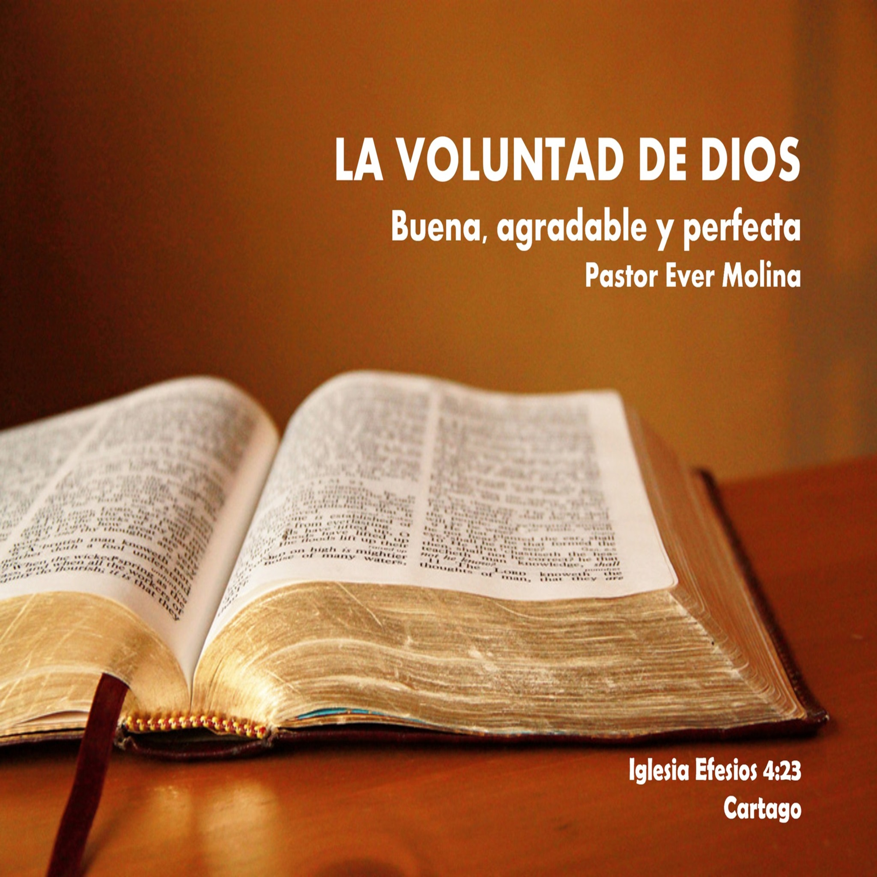 LA VOLUNTAD DE DIOS: Buena, agradable y perfecta episode artwork