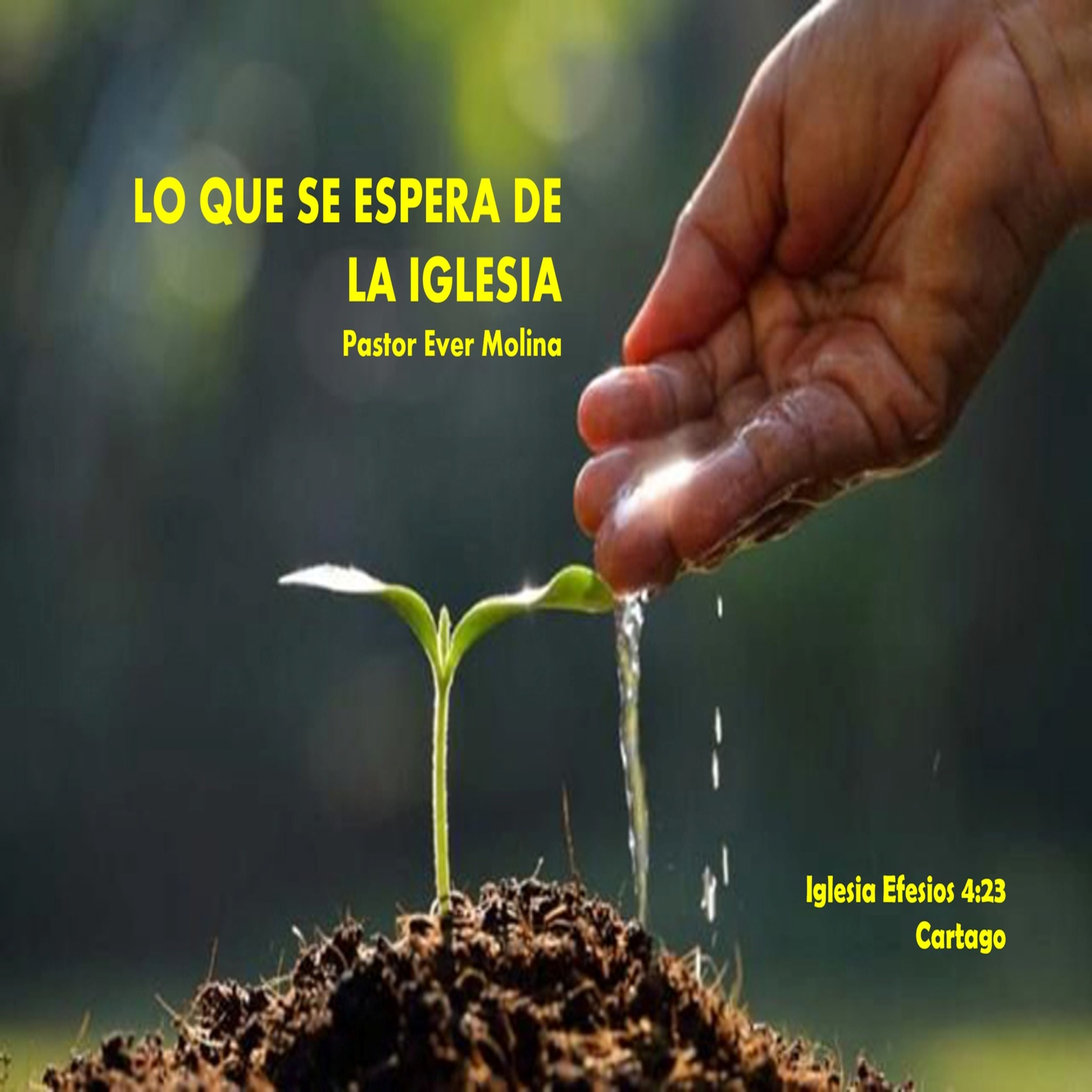 LO QUE SE ESPERA DE LA IGLESIA episode artwork