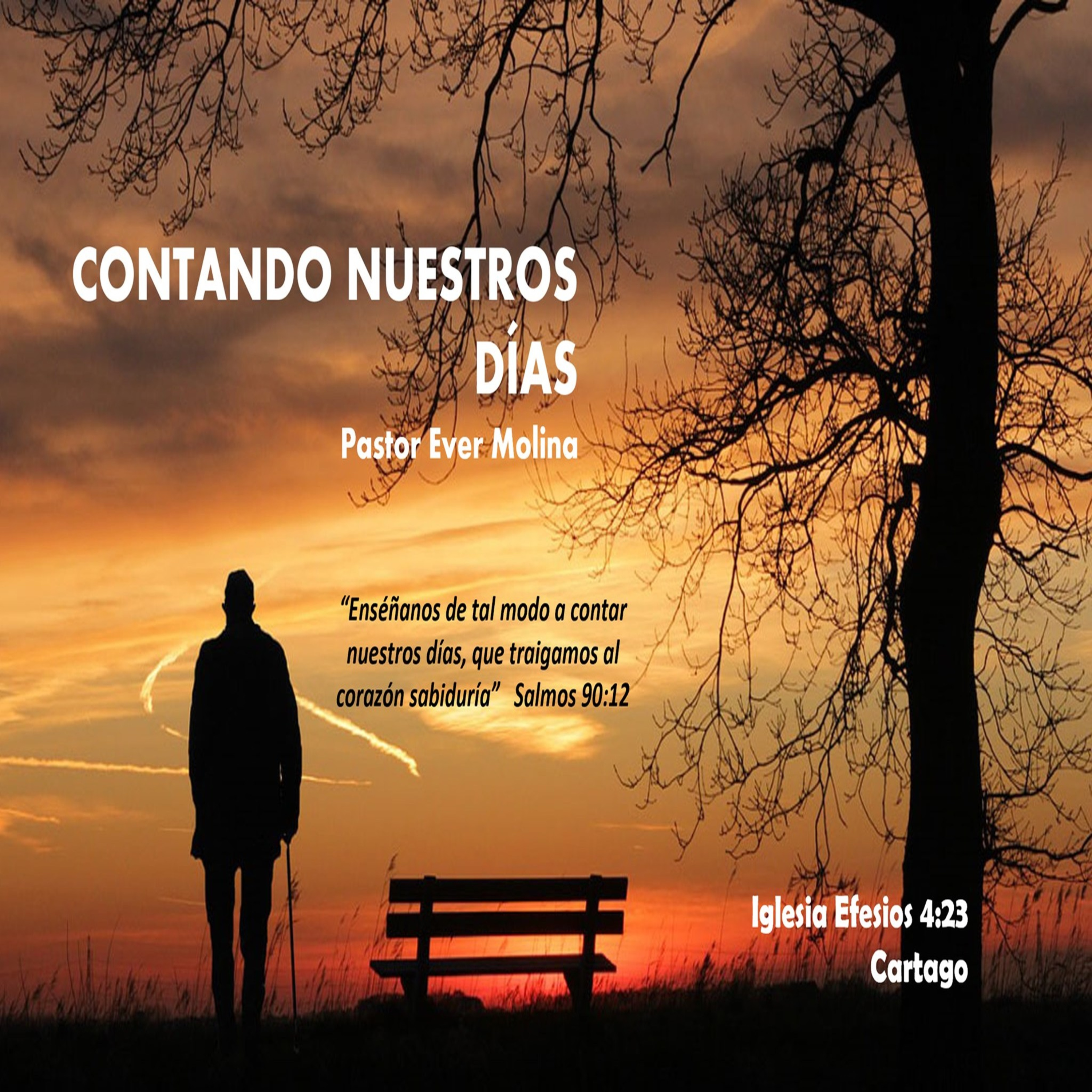 CONTANDO NUESTROS DÍAS episode artwork