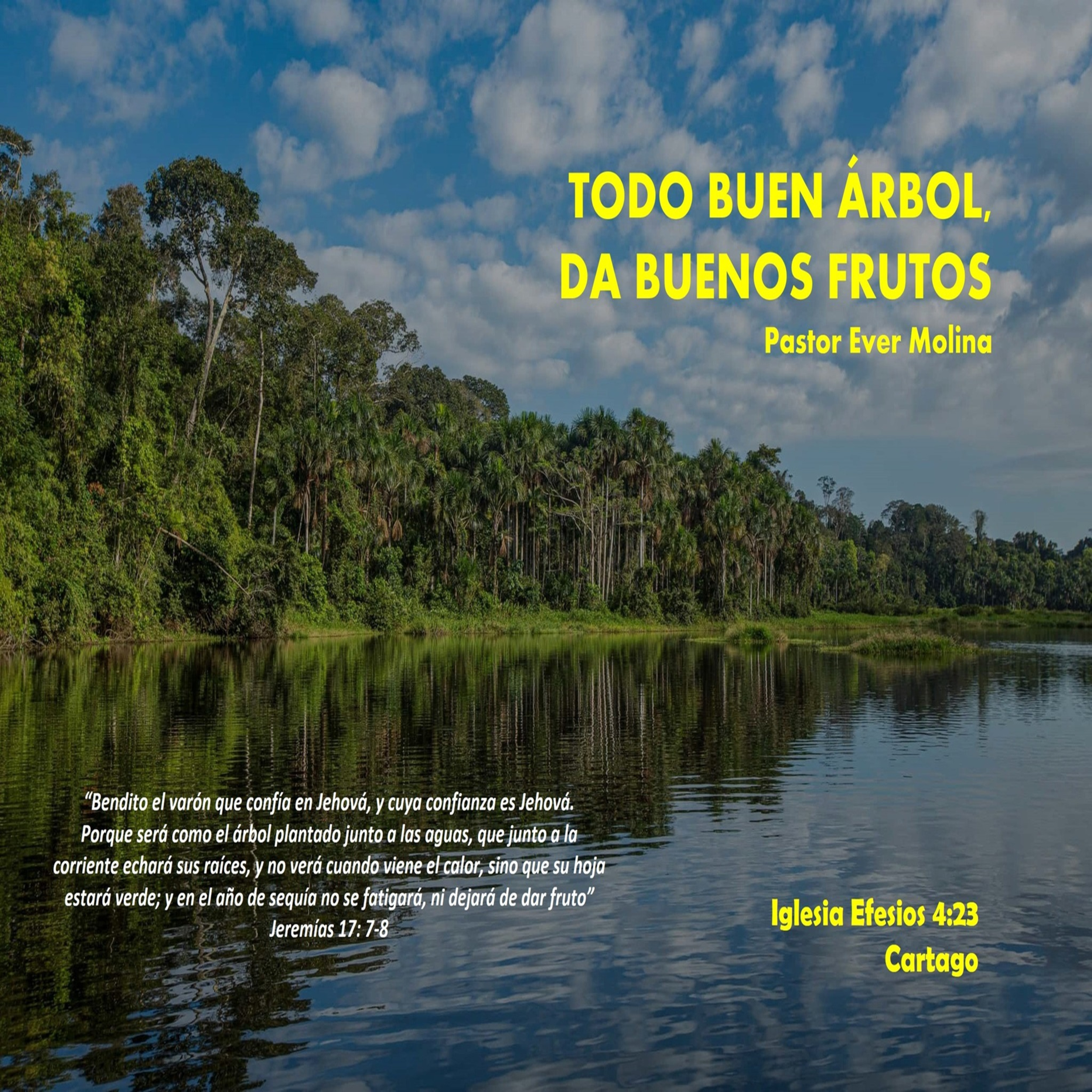 TODO BUEN ÁRBOL, DA BUENOS FRUTOS episode artwork