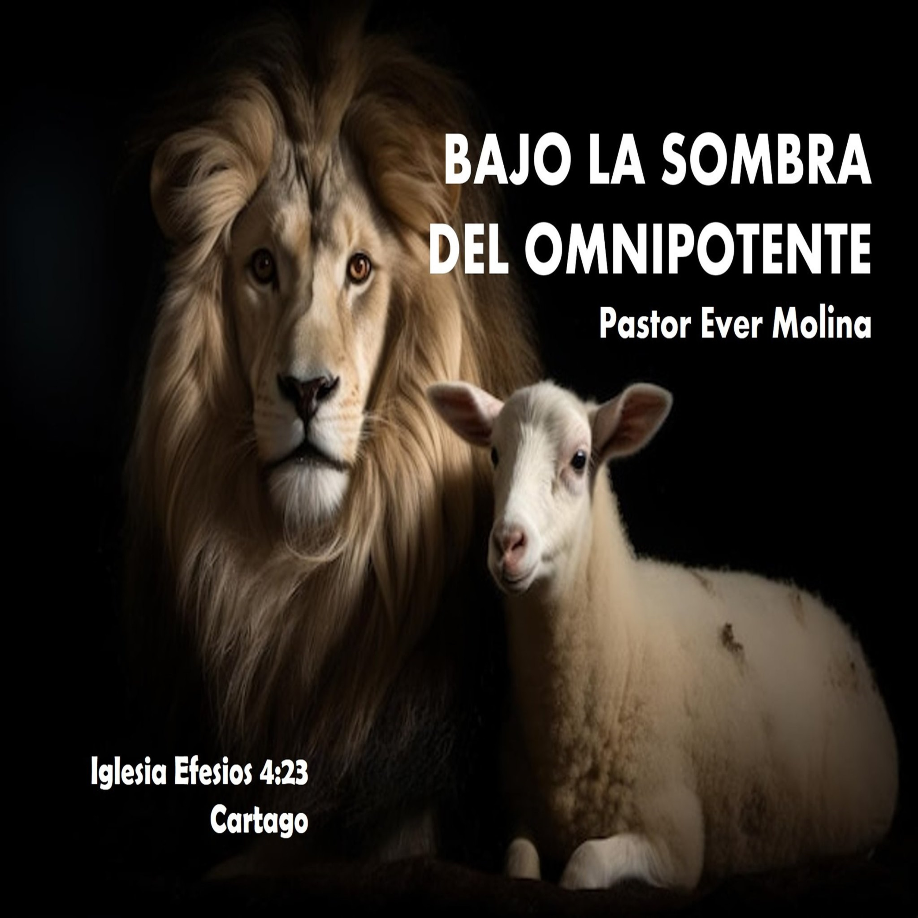 BAJO LA SOMBRA DEL OMNIPOTENTE episode artwork