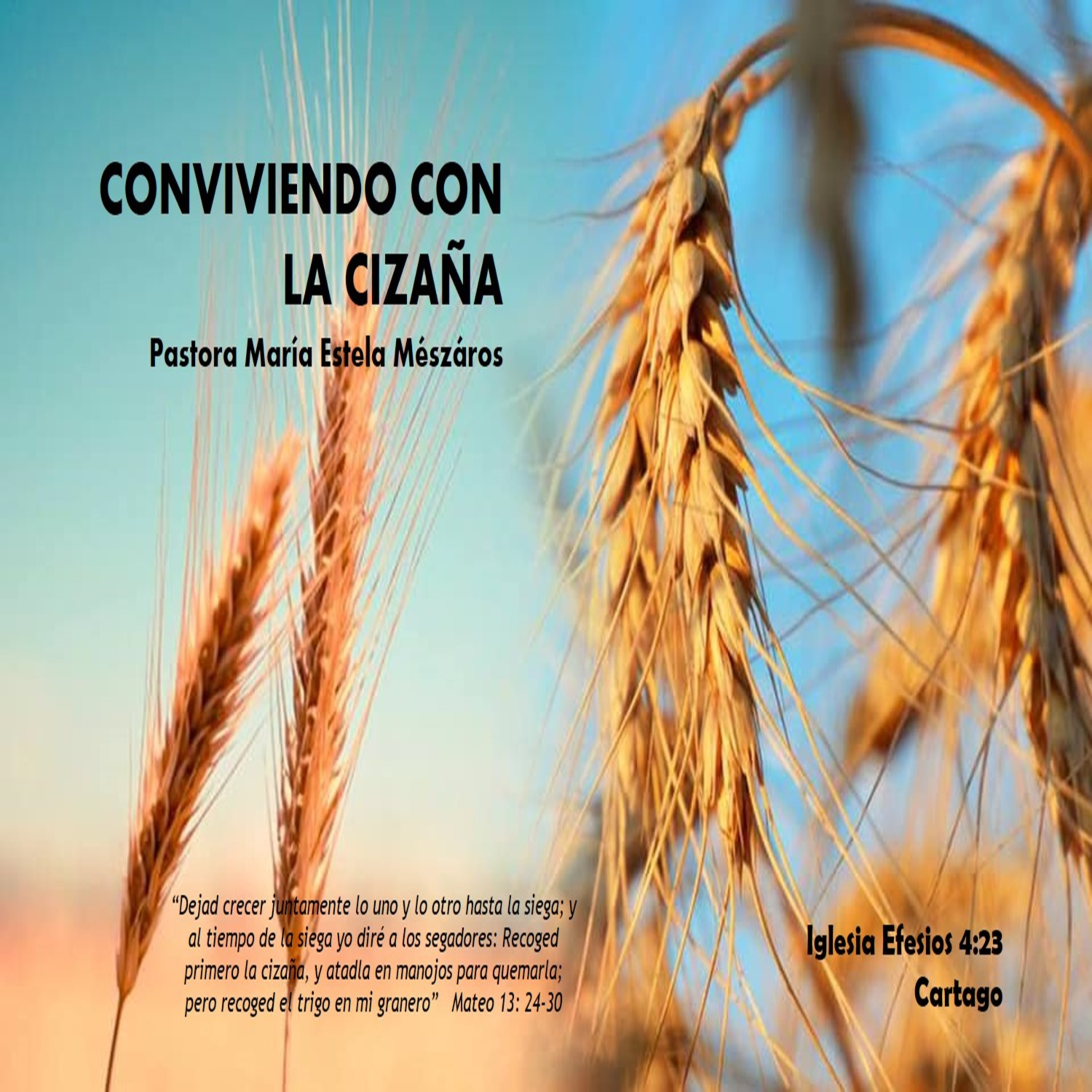 CONVIVIENDO CON LA CIZAÑA episode artwork