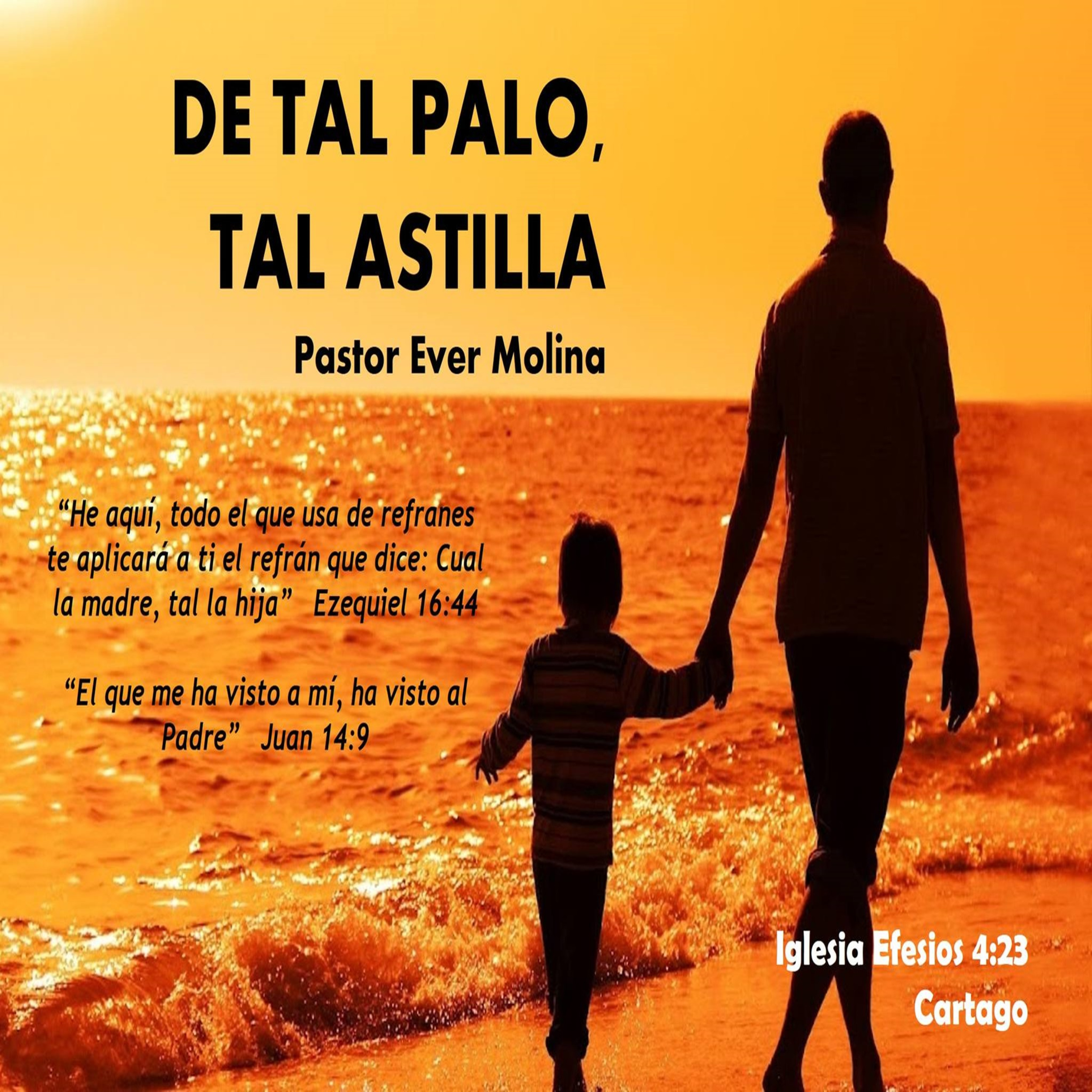 DE TAL PALO, TAL ASTILLA episode artwork
